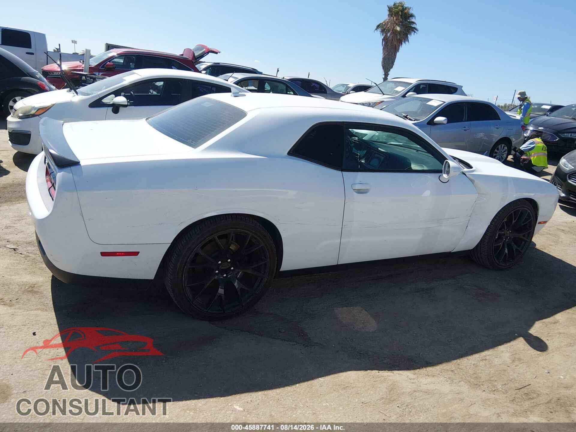 DODGE CHALLENGER 2019 - 2C3CDZBT6KH540307