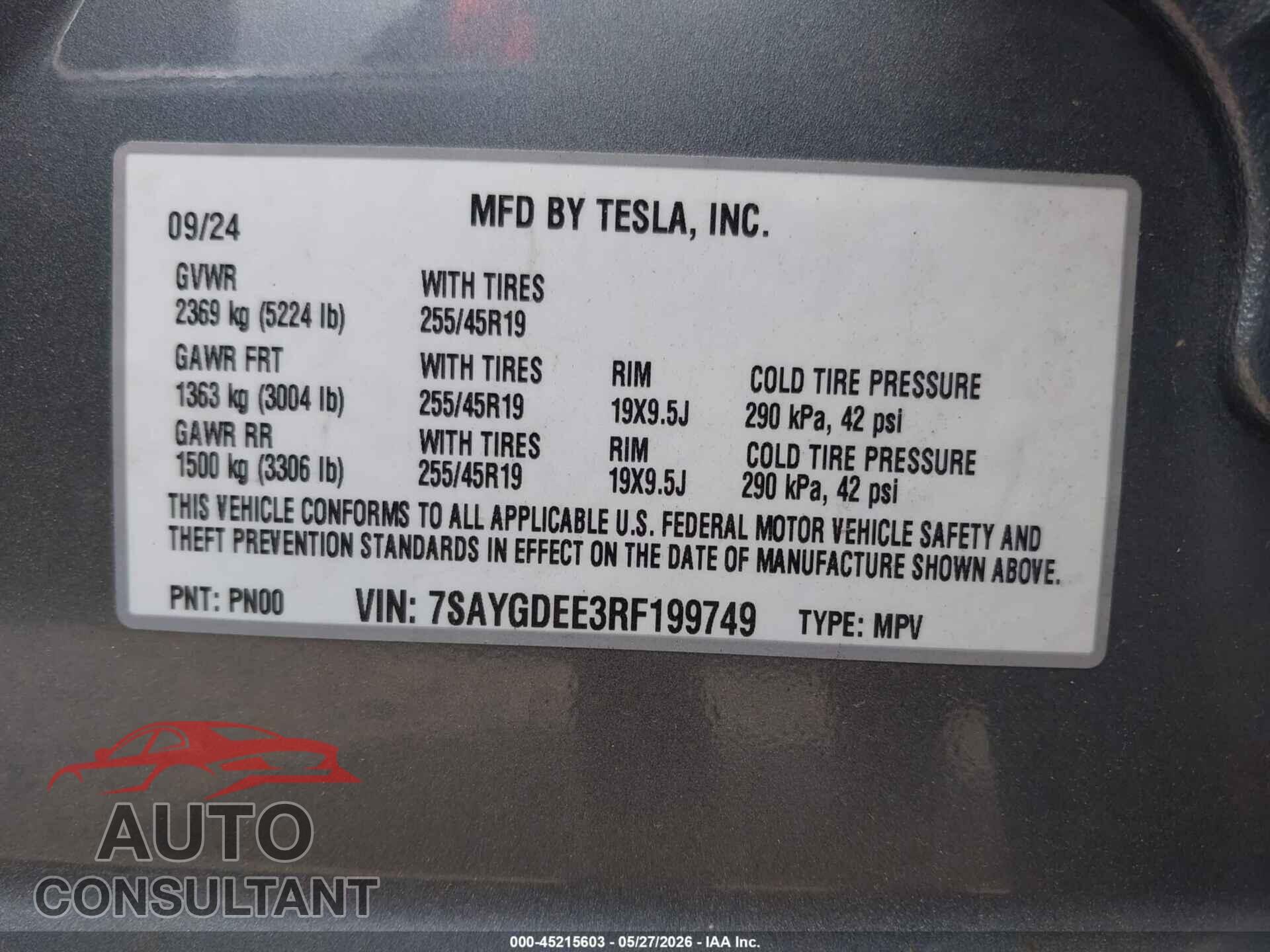 TESLA MODEL Y 2024 - 7SAYGDEE3RF199749