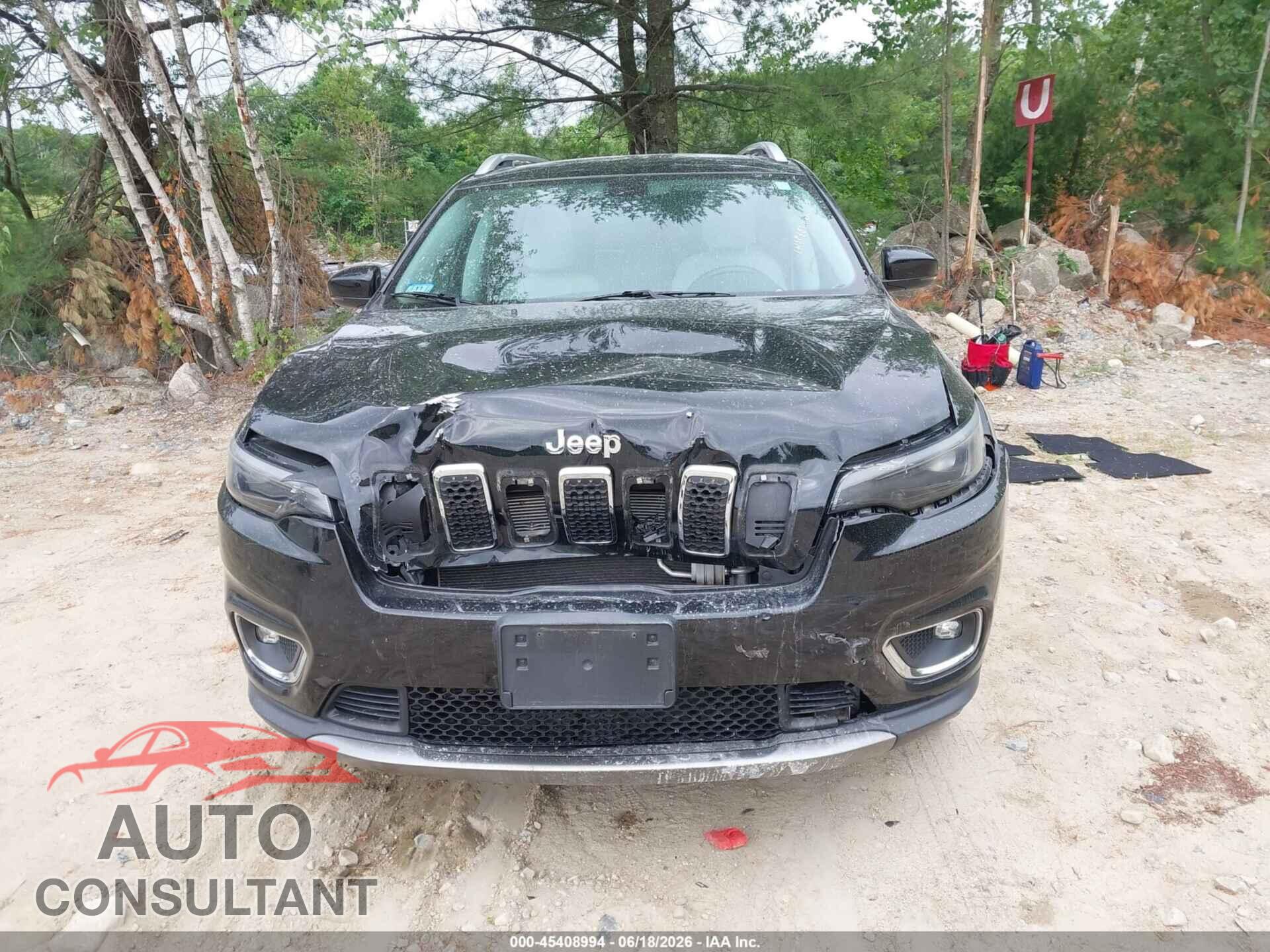 JEEP CHEROKEE 2019 - 1C4PJMDX0KD368247