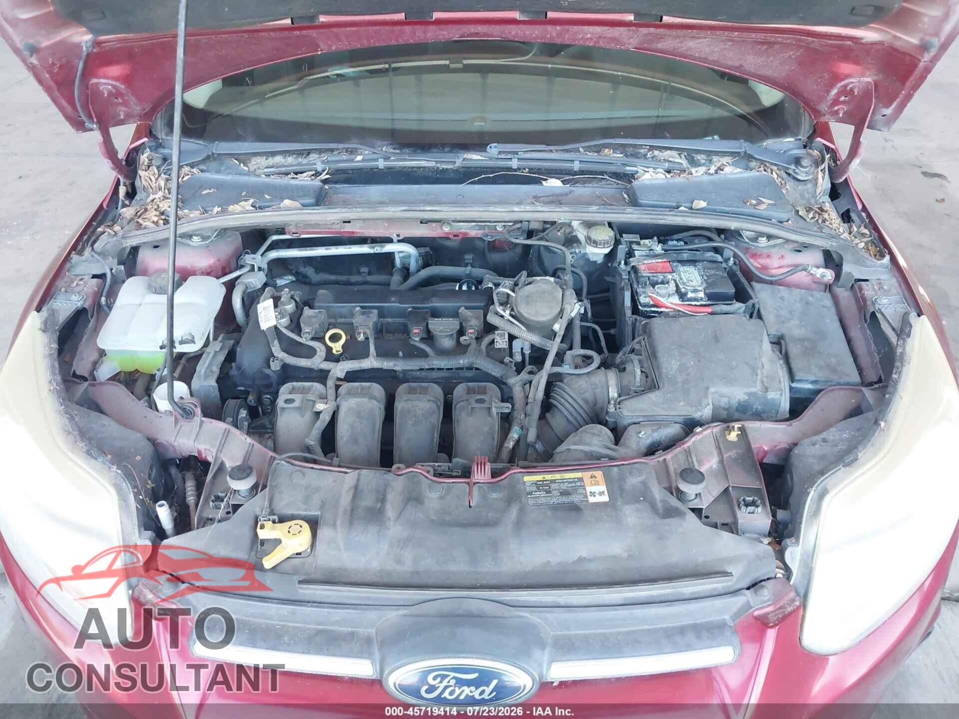FORD FOCUS 2014 - 1FADP3F21EL266534