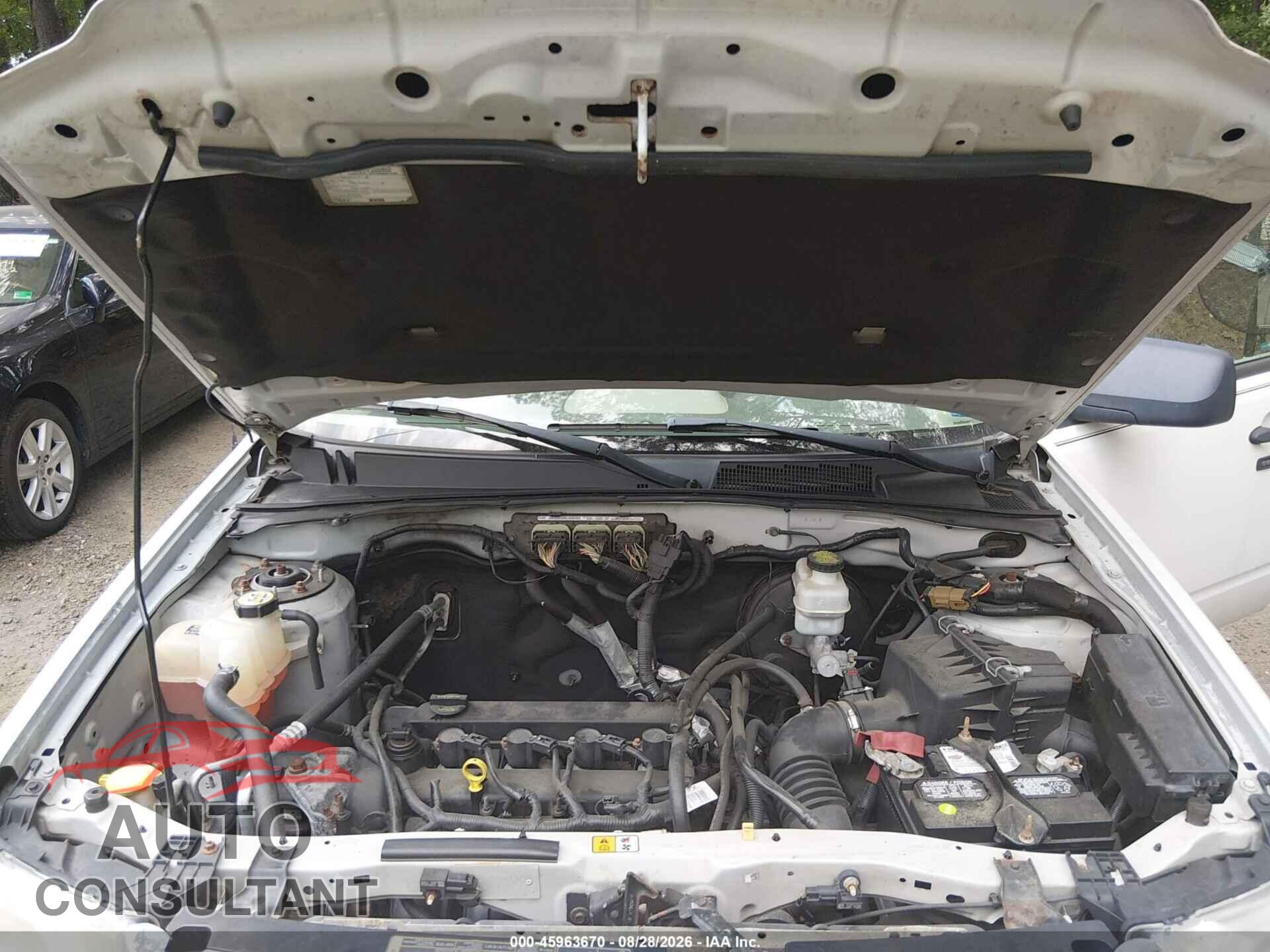 FORD ESCAPE 2011 - 1FMCU9D77BKC11583