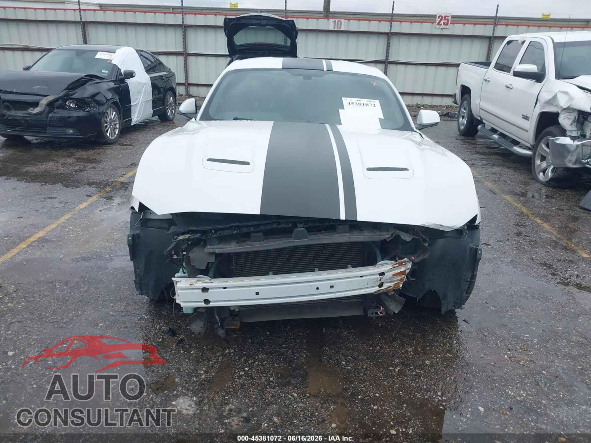 FORD MUSTANG 2019 - 1FA6P8CF0K5152117