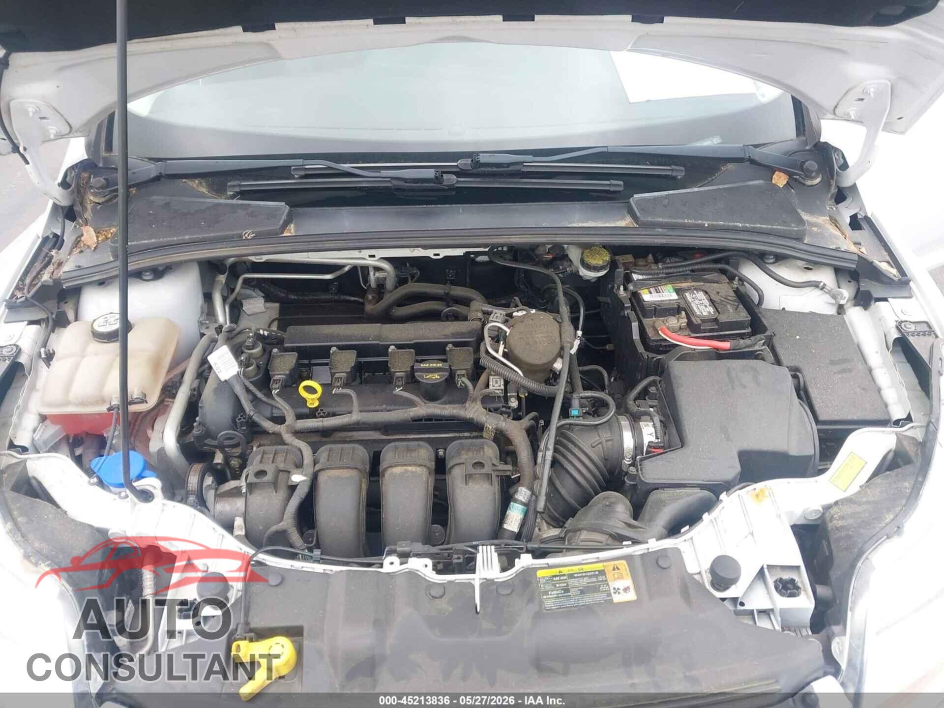FORD FOCUS 2012 - 1FAHP3F20CL230655
