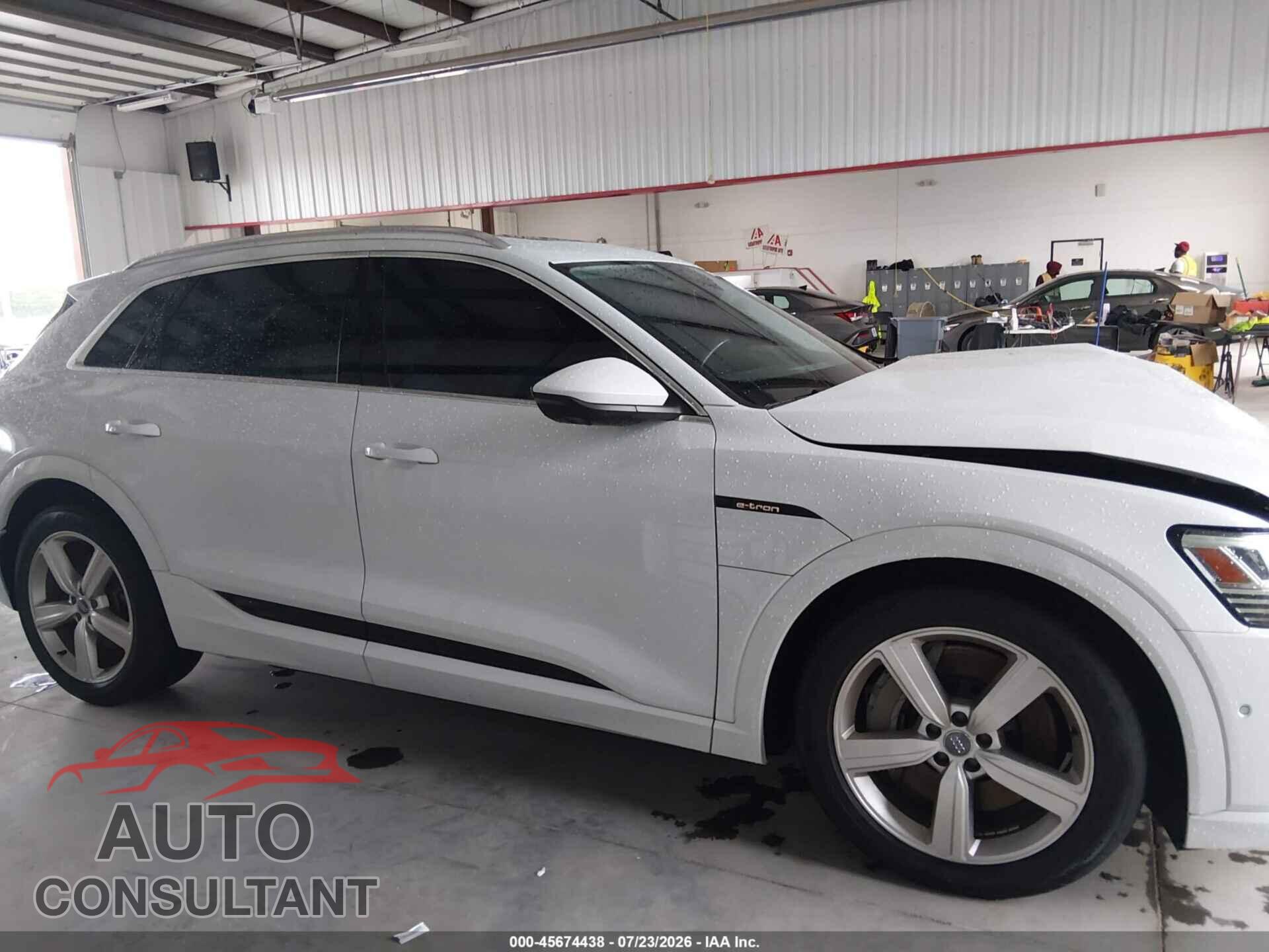 AUDI E-TRON 2019 - WA1LAAGEXKB024227