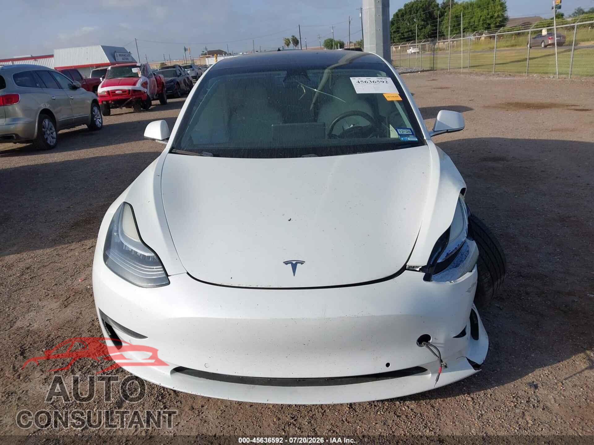 TESLA MODEL 3 2020 - 5YJ3E1EA3LF616013