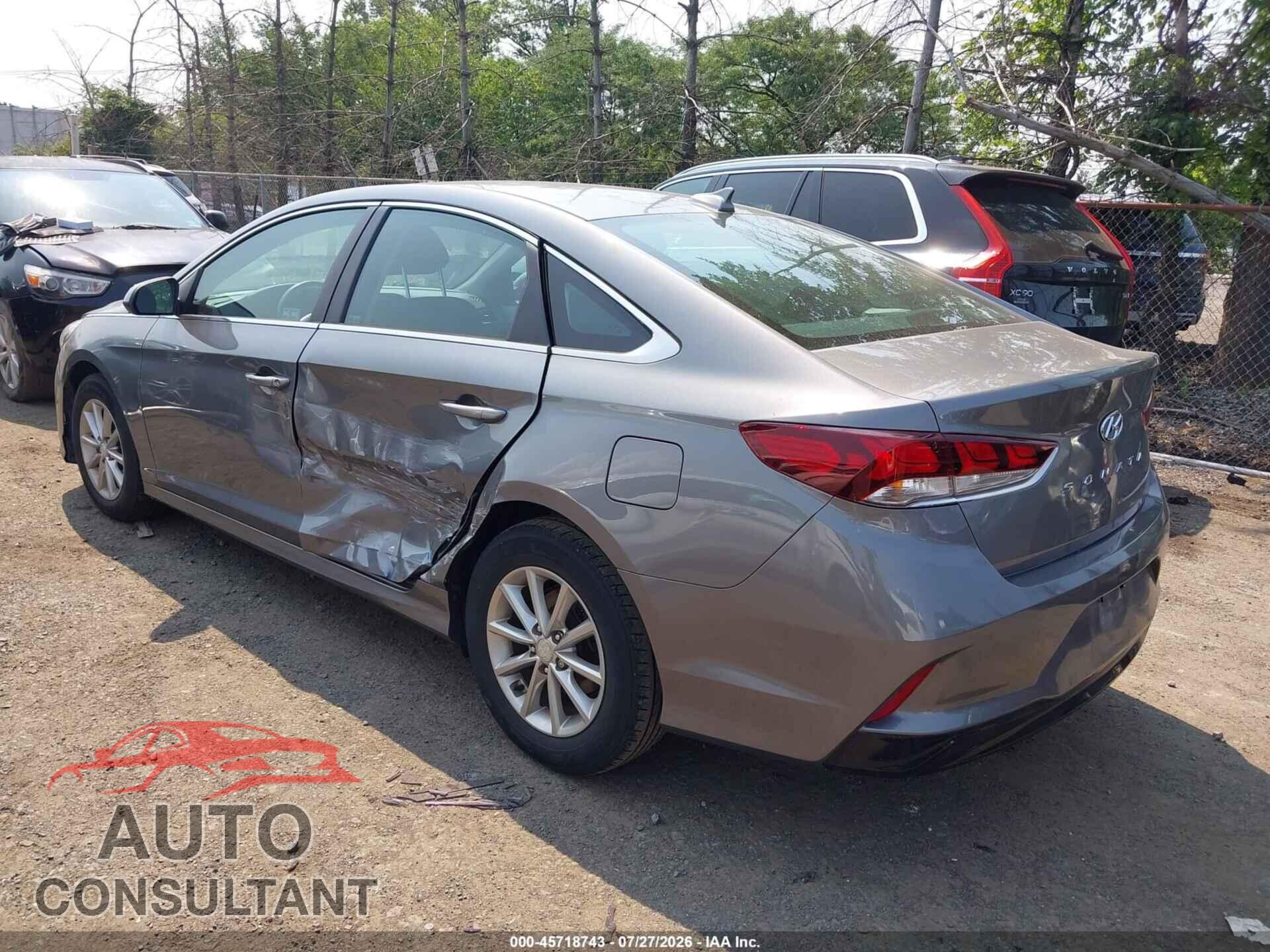 HYUNDAI SONATA 2019 - 5NPE24AF7KH761396