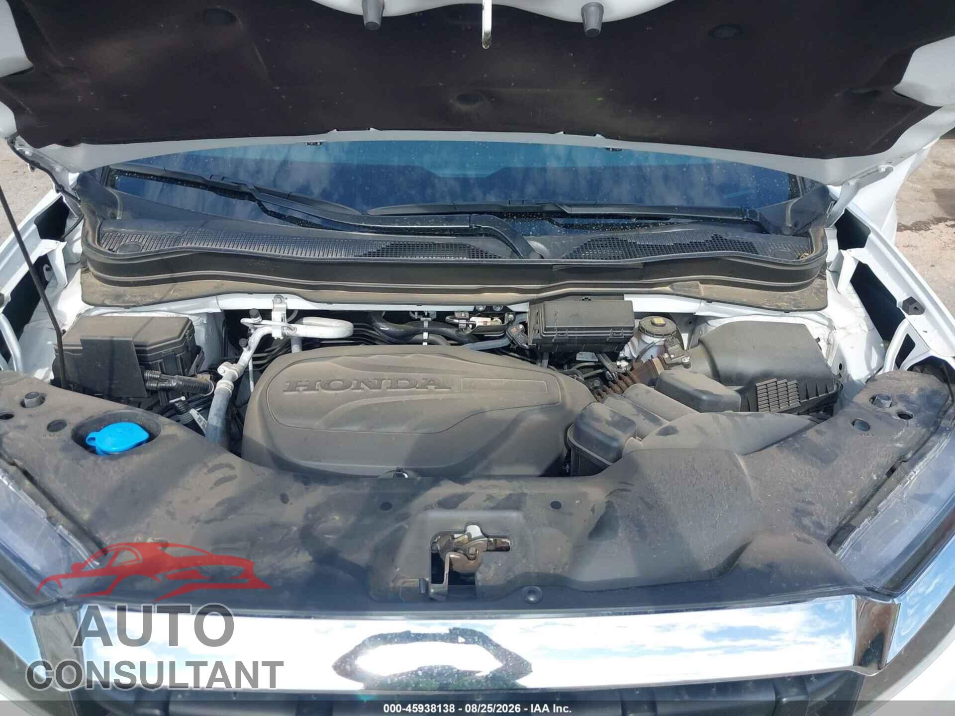 HONDA RIDGELINE 2024 - 5FPYK3F5XRB012101