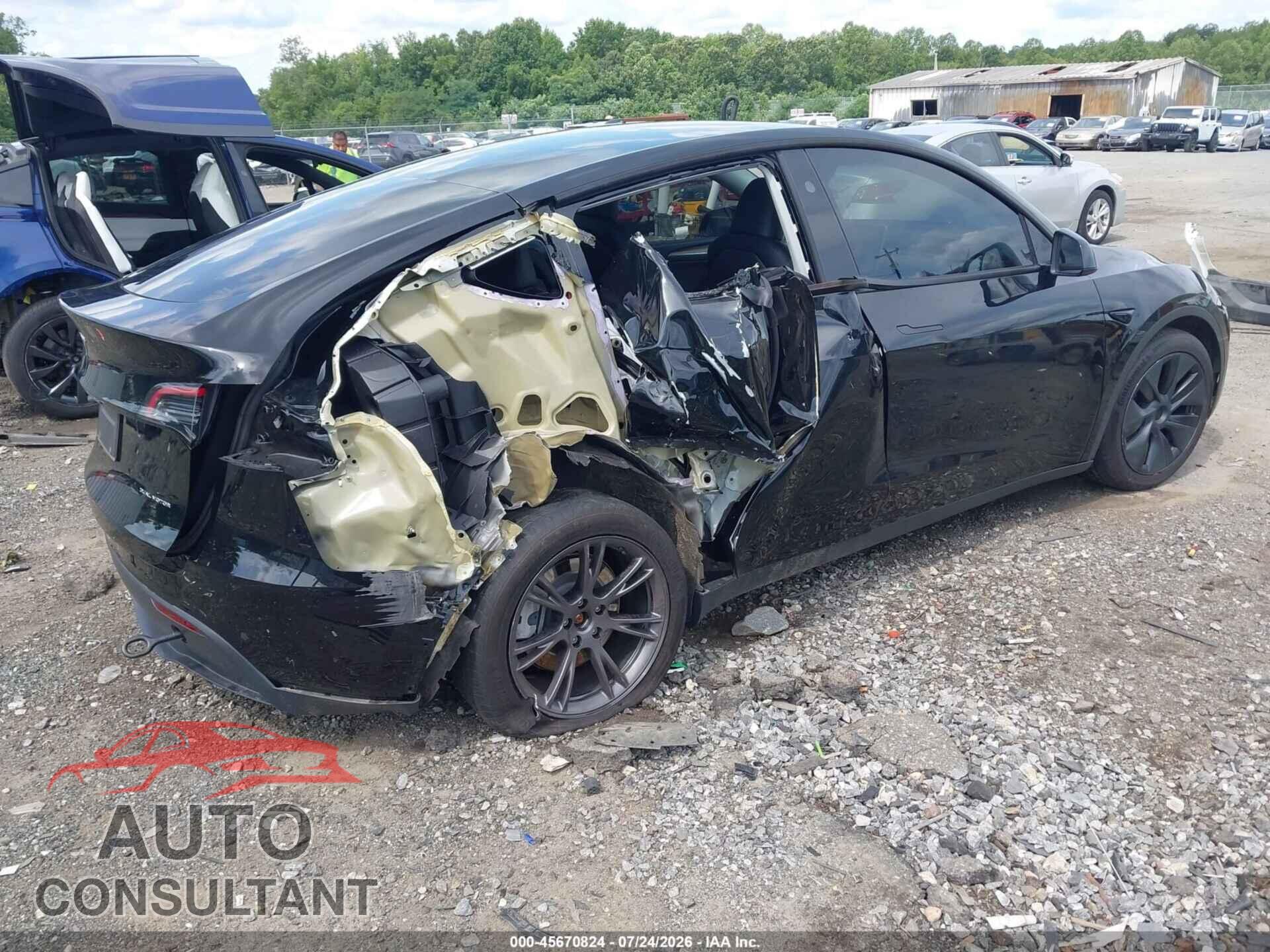 TESLA MODEL Y 2024 - 7SAYGAEE8RF185442