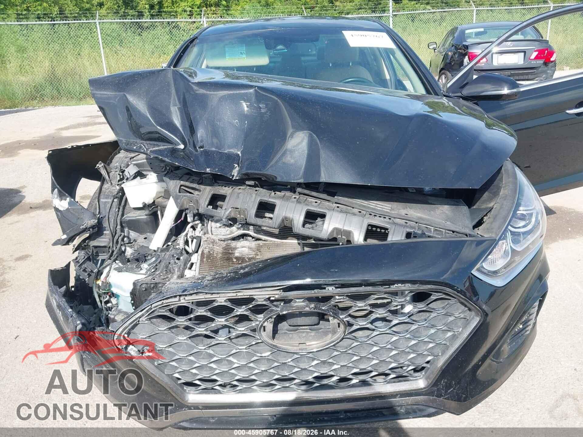 HYUNDAI SONATA 2019 - 5NPE34AF5KH801357