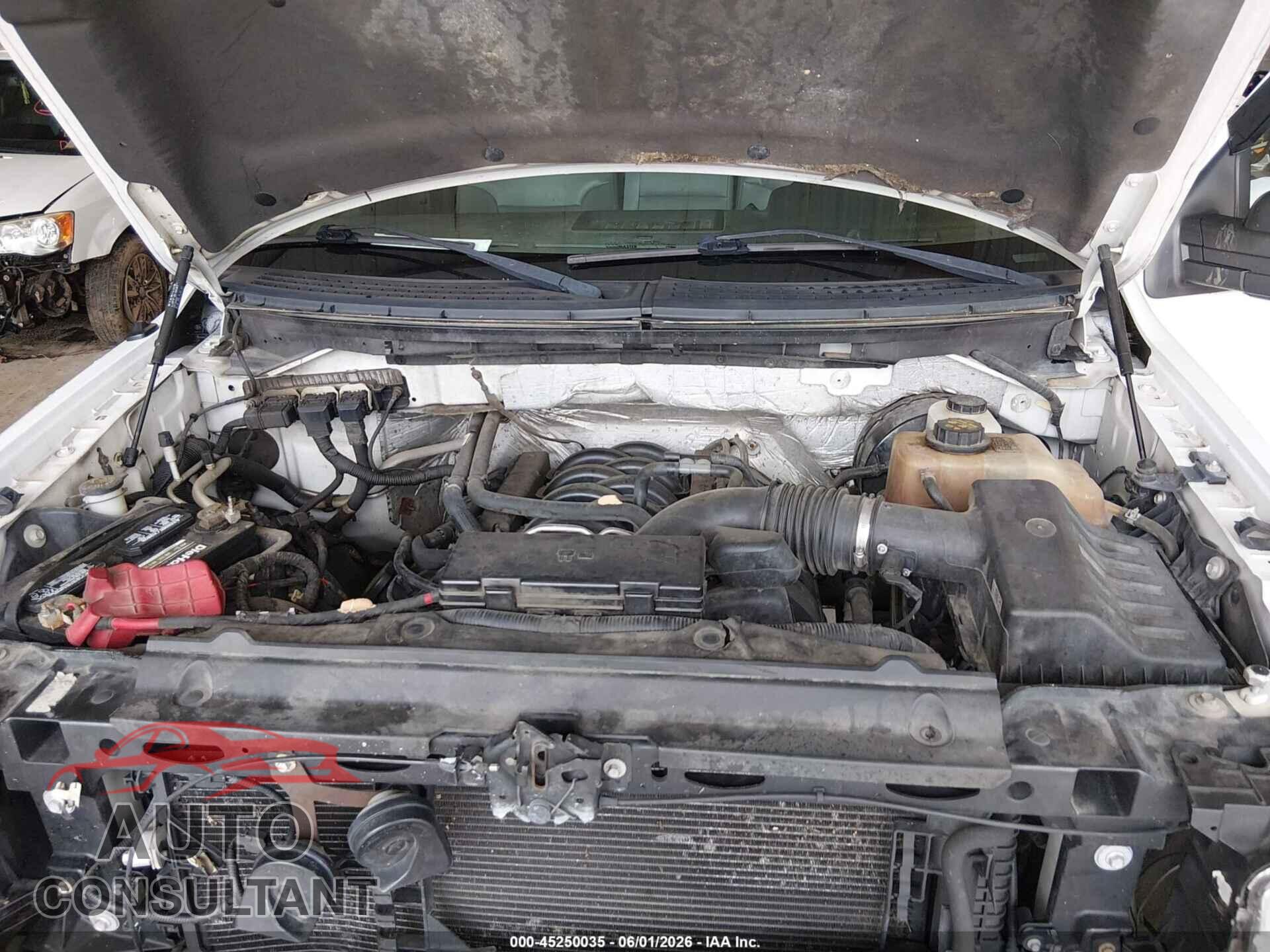 FORD F-150 2013 - 1FTFX1CF1DKD99491