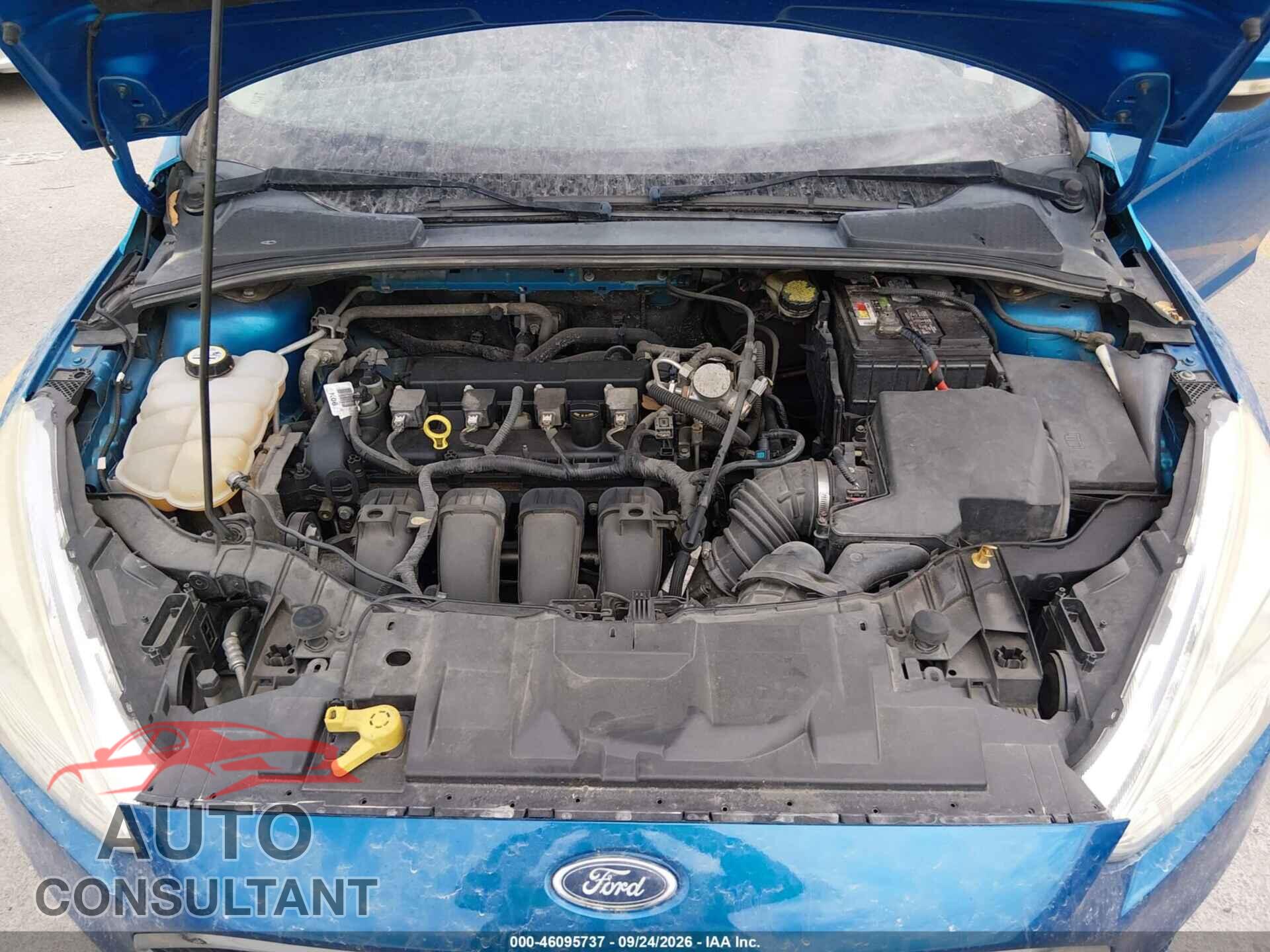 FORD FOCUS 2016 - 1FADP3F24GL404652