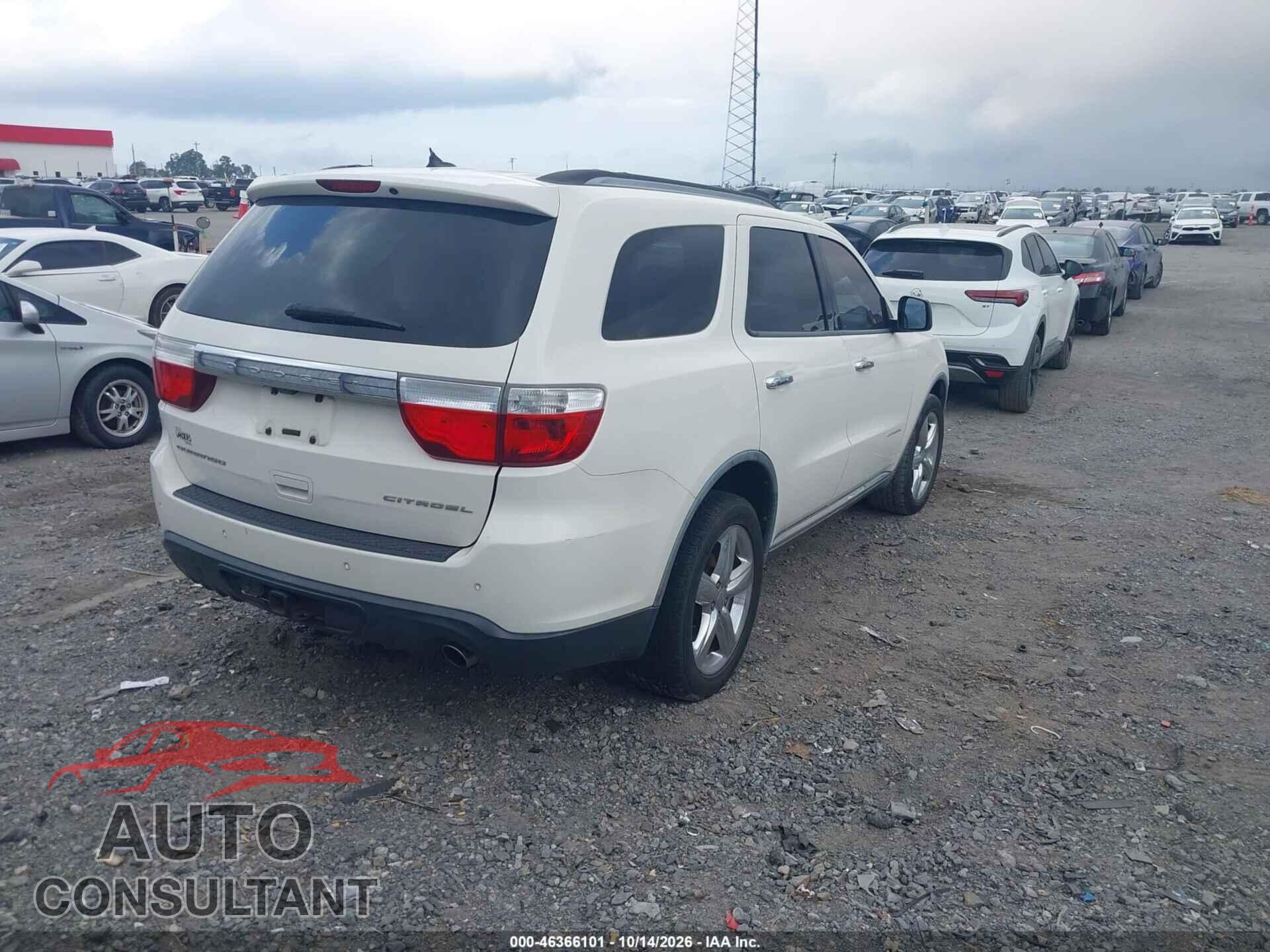 DODGE DURANGO 2011 - 1D4RD5GG7BC613619