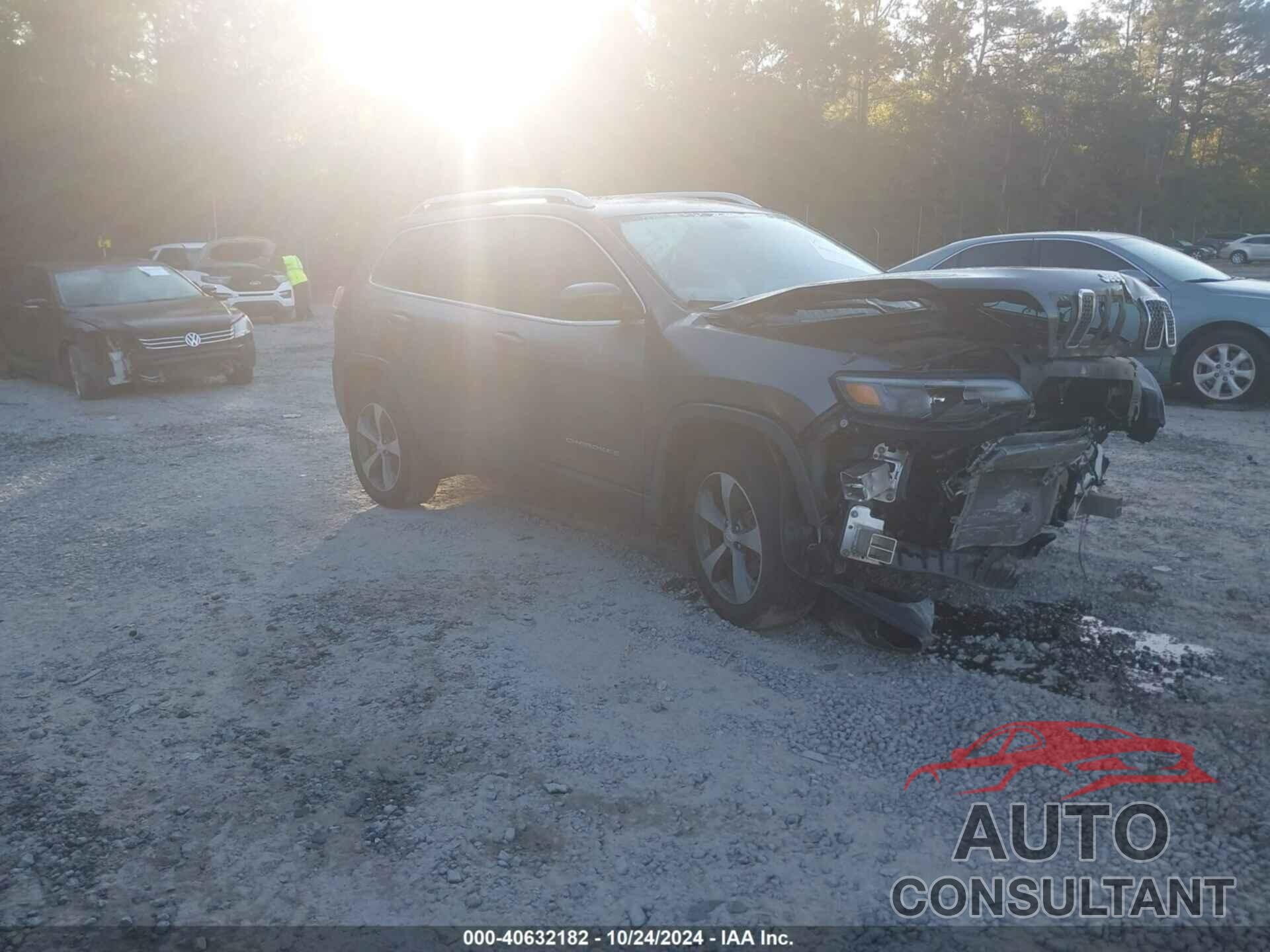 JEEP CHEROKEE 2019 - 1C4PJMDX7KD104717