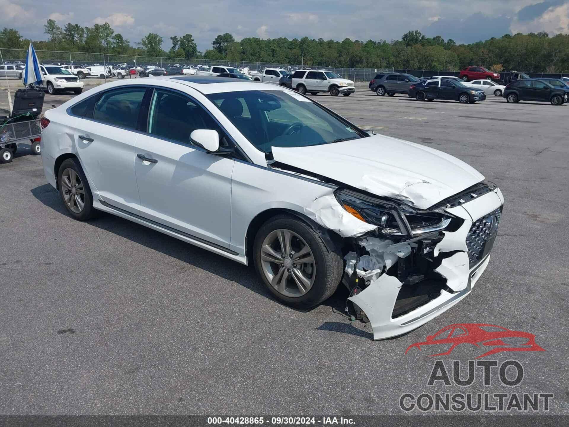 HYUNDAI SONATA 2019 - 5NPE34AF1KH813361