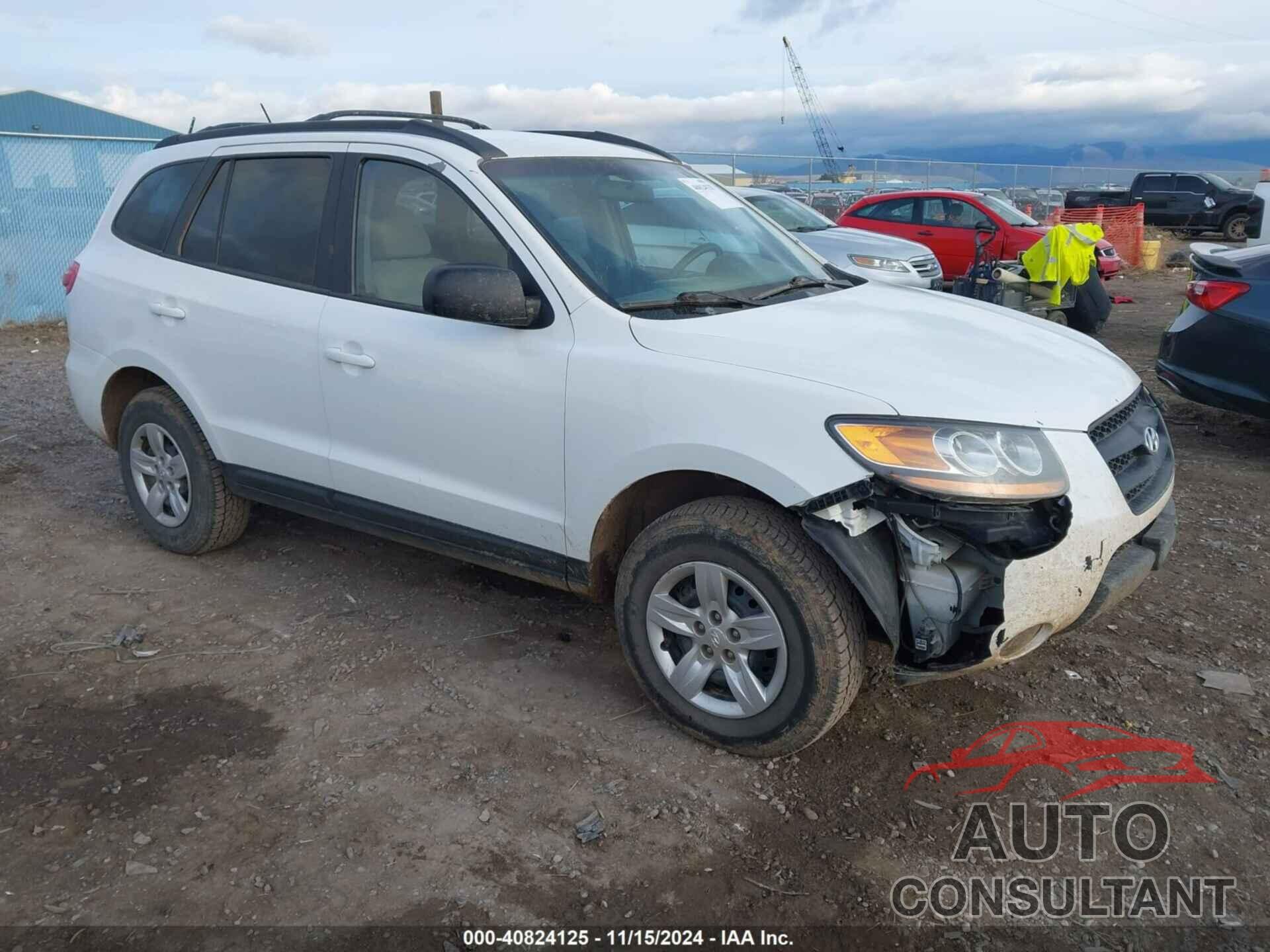 HYUNDAI SANTA FE 2009 - 5NMSG73D49H264914