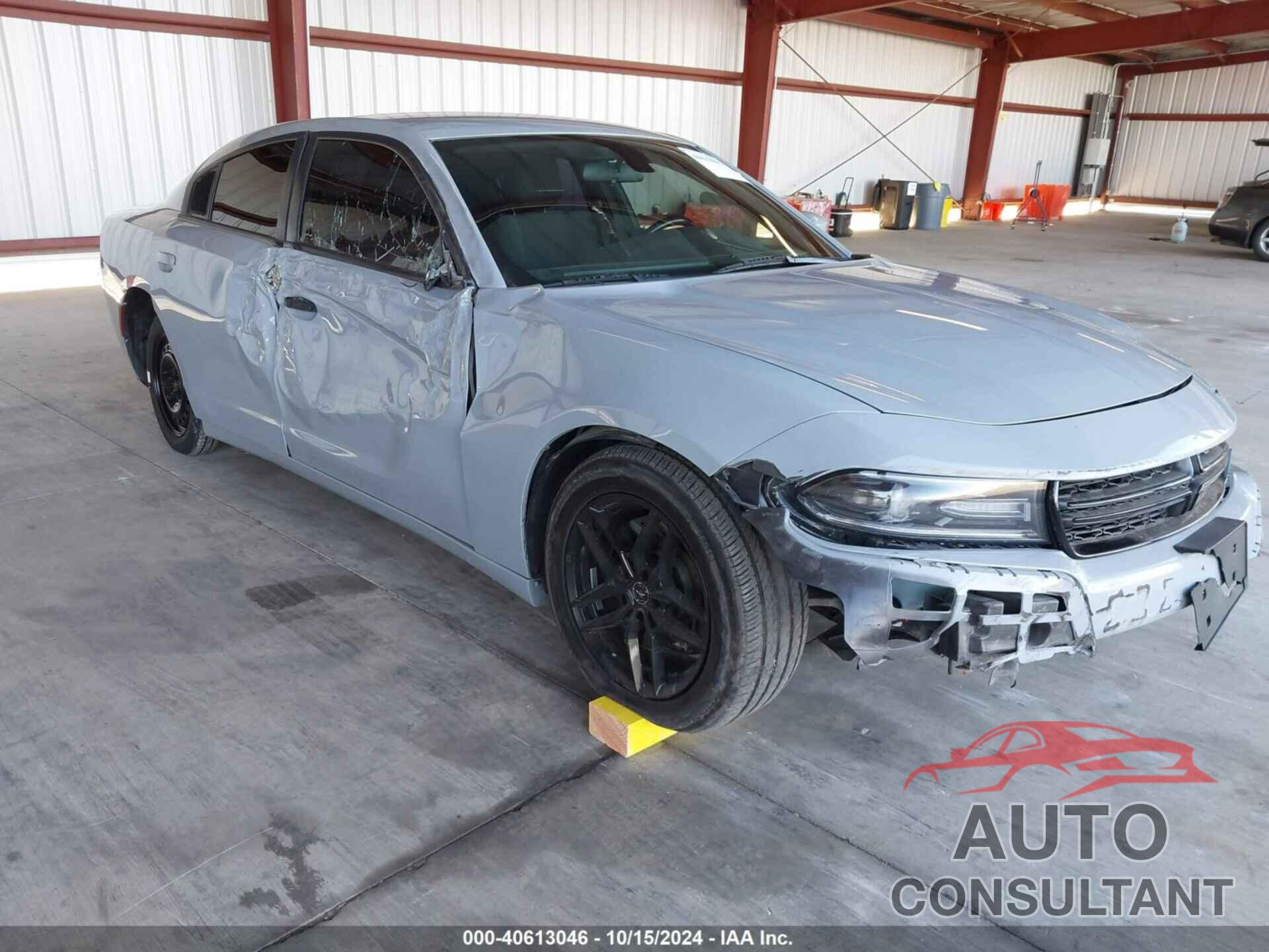 DODGE CHARGER 2020 - 2C3CDXBGXLH204846