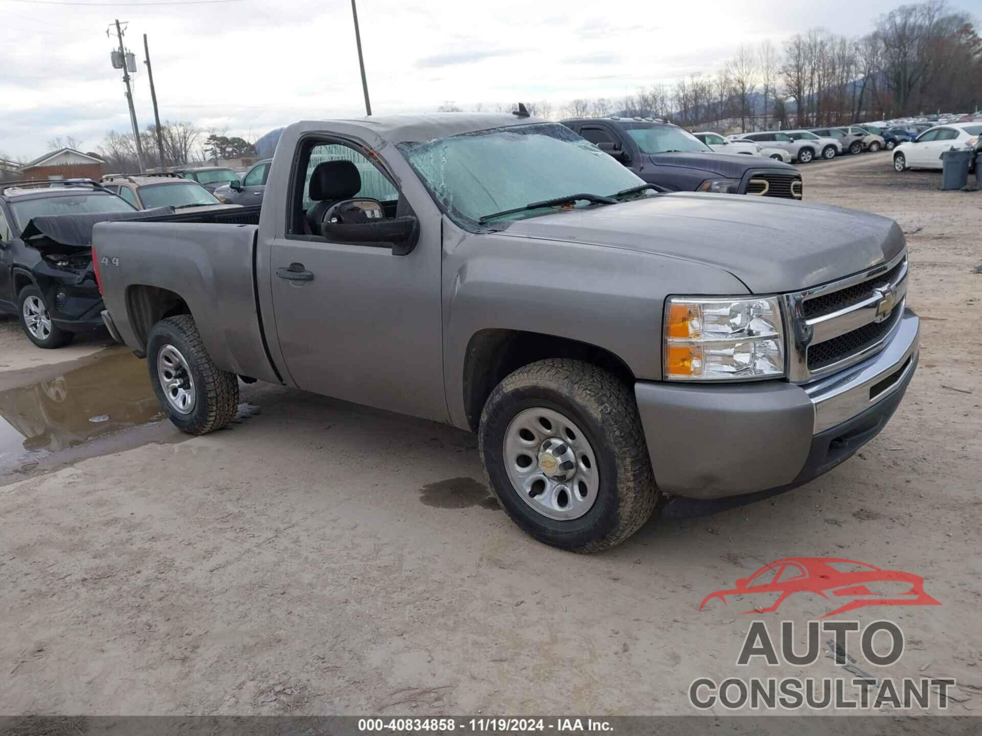 CHEVROLET SILVERADO 1500 2009 - 1GCEK14X99Z205905