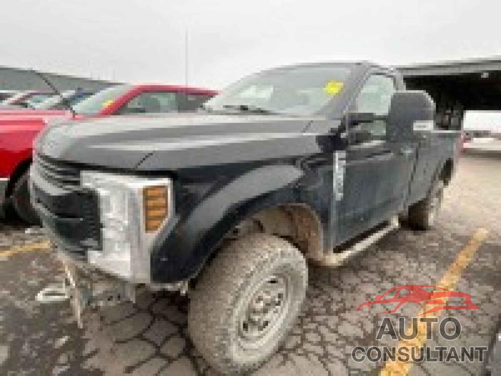 FORD F250 2019 - 1FTBF2B61KED87149
