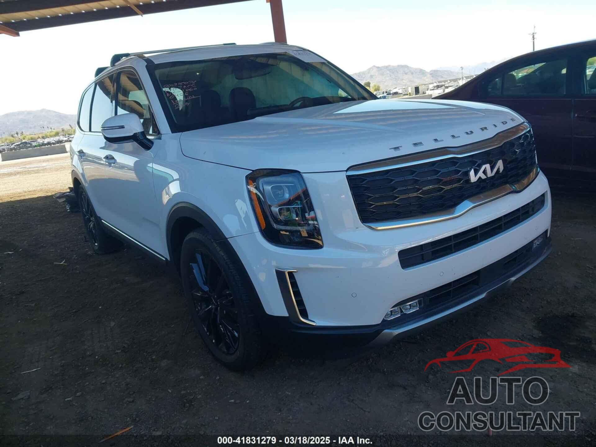 KIA TELLURIDE 2022 - 5XYP5DHC5NG280425