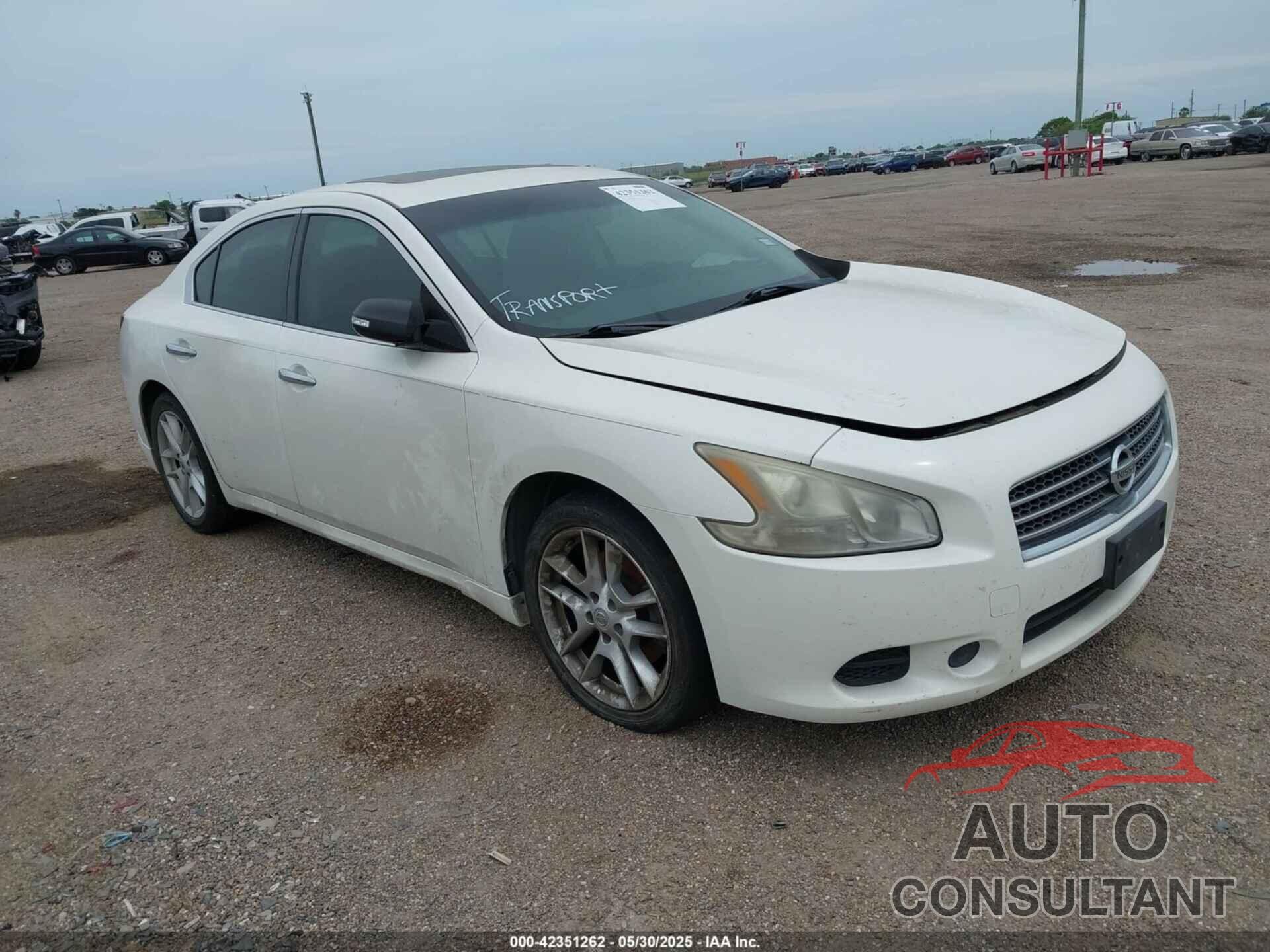 NISSAN MAXIMA 2011 - 1N4AA5AP9BC820529