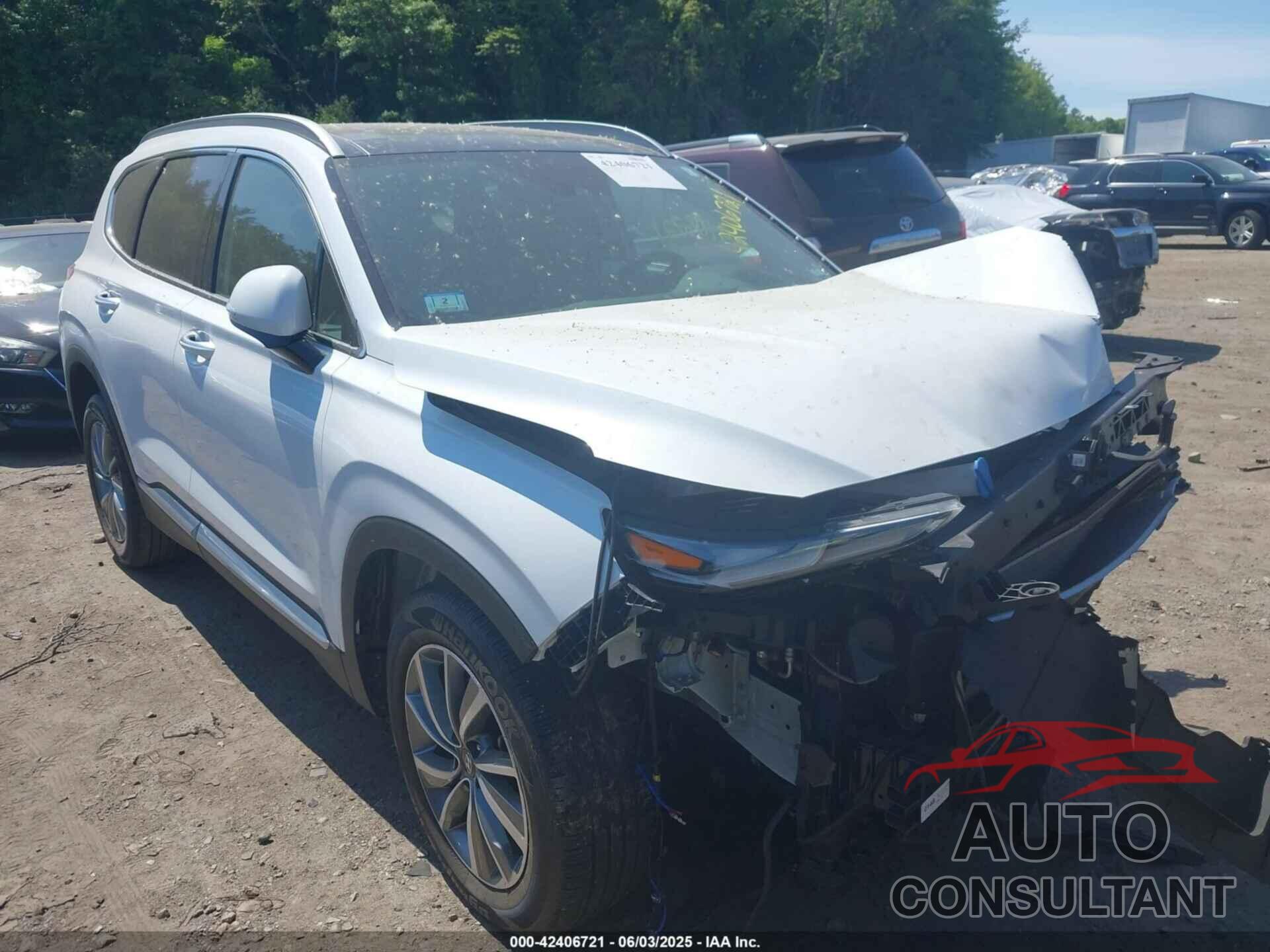 HYUNDAI SANTA FE 2019 - 5NMS5CAD7KH002294