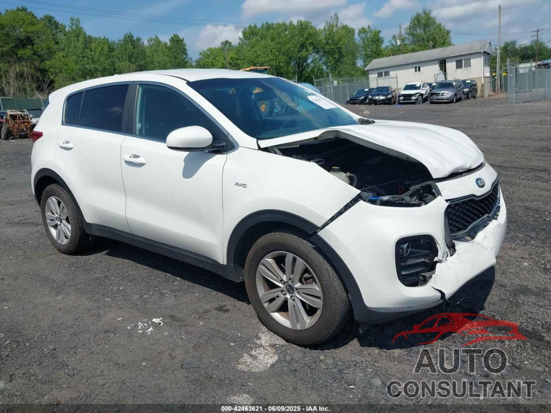 KIA SPORTAGE 2017 - KNDPMCAC6H7096300