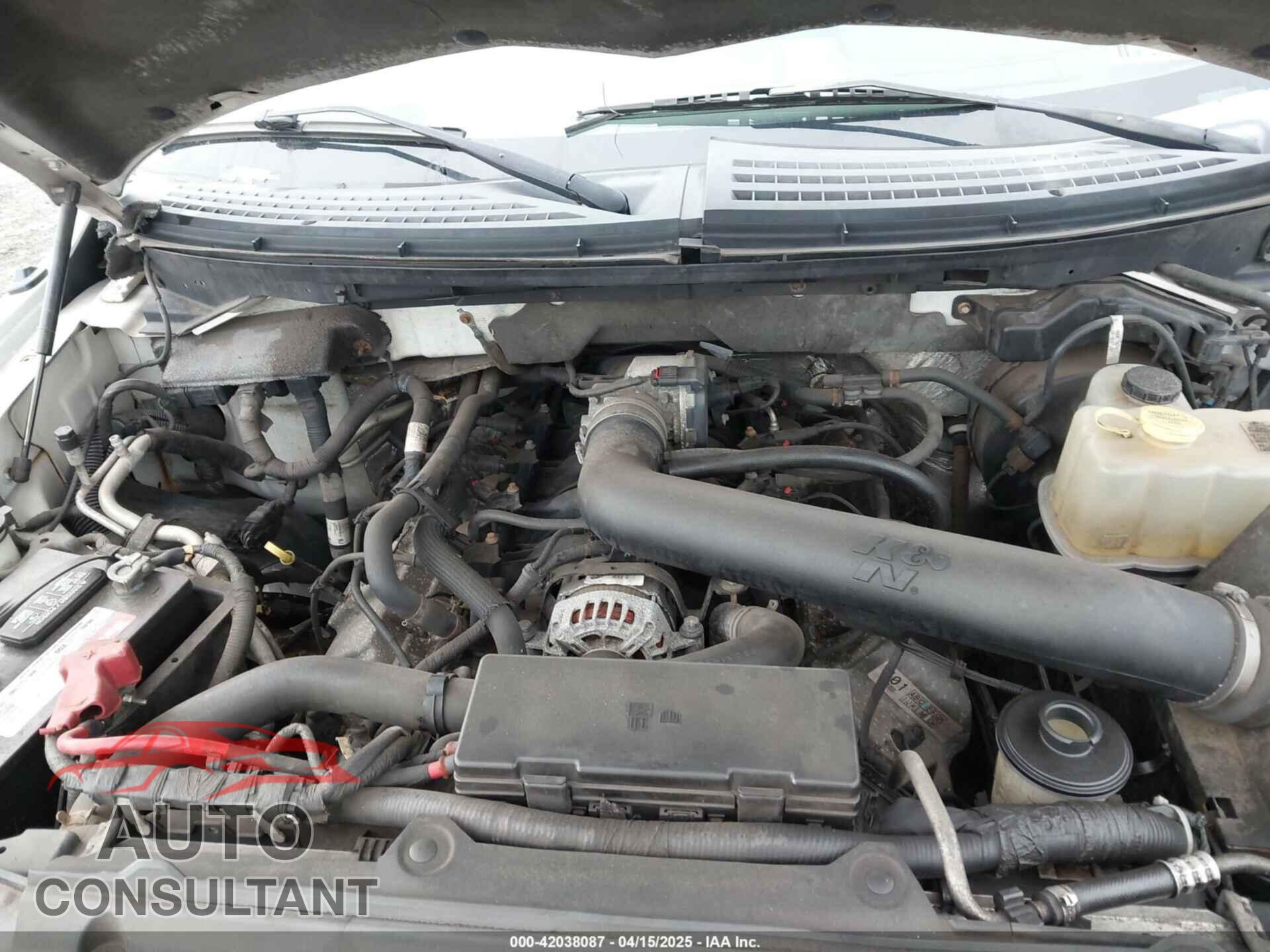 FORD F-150 2011 - 1FTFW1E63BFB80098