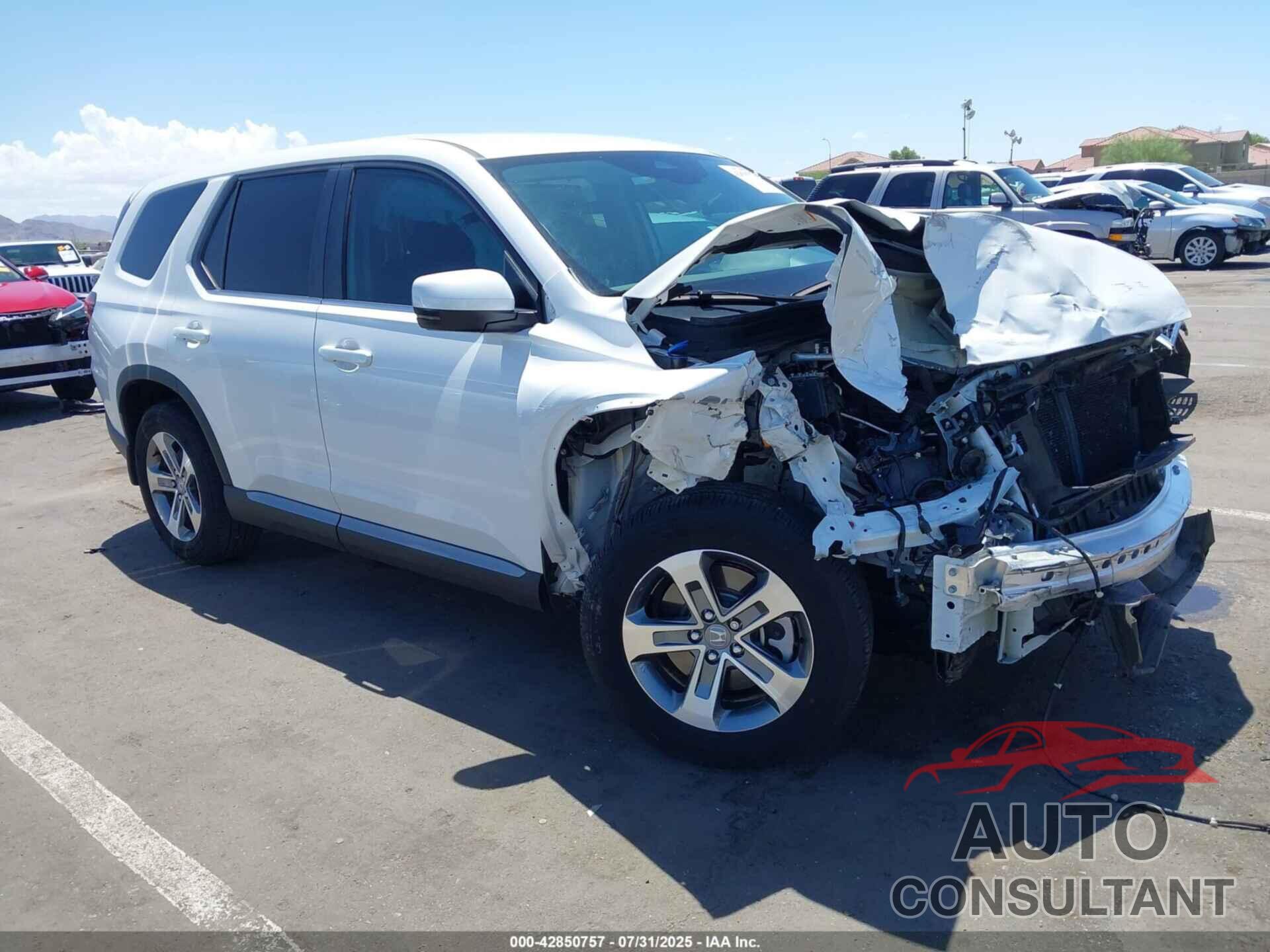 HONDA PILOT 2024 - 5FNYG2H41RB012125