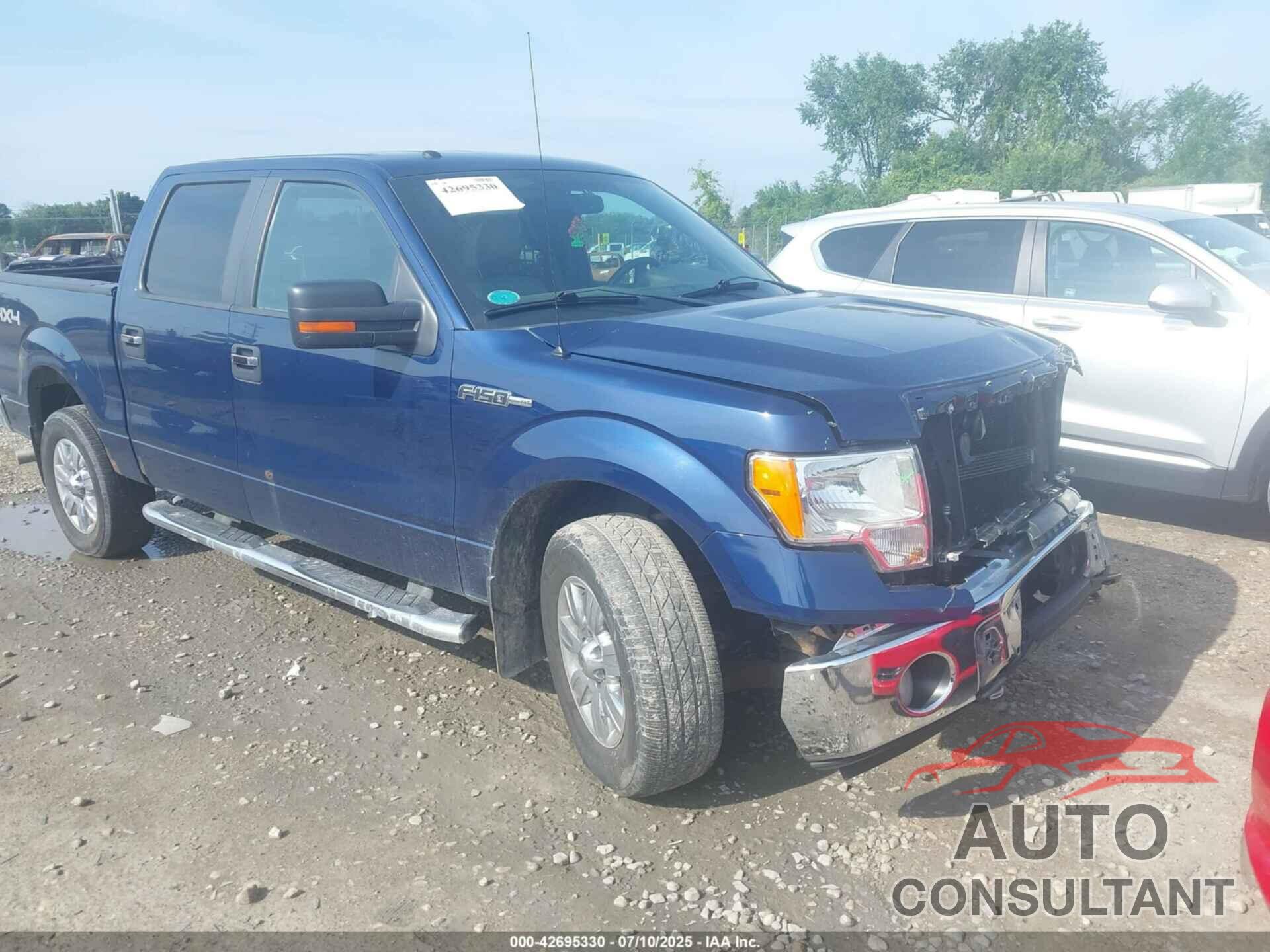 FORD F-150 2010 - 1FTFW1EV1AFD91841