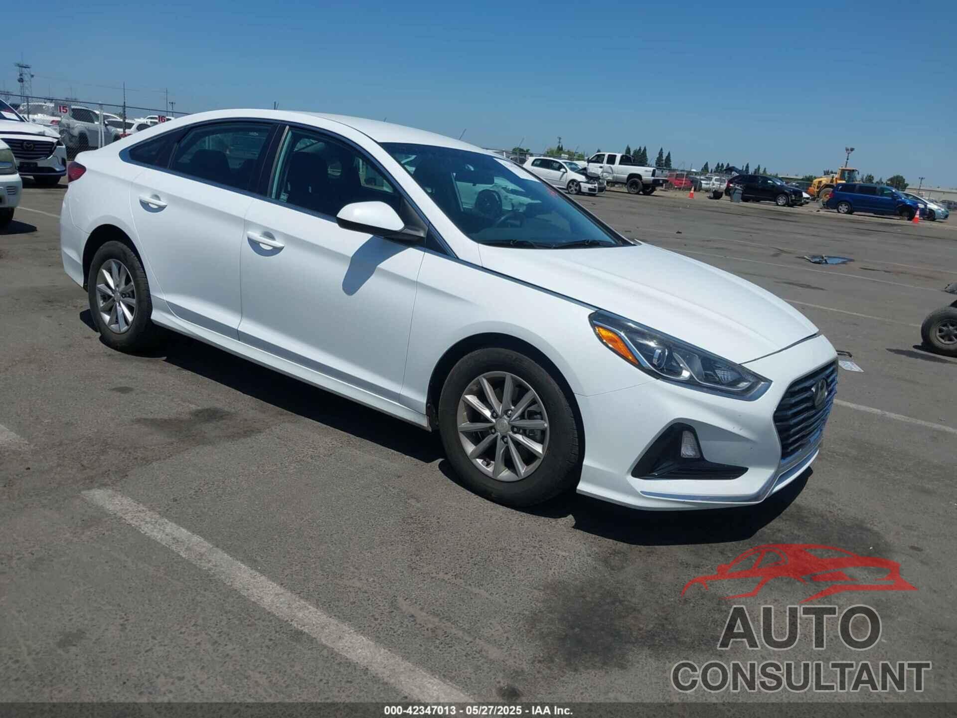 HYUNDAI SONATA 2019 - 5NPE24AF5KH755497