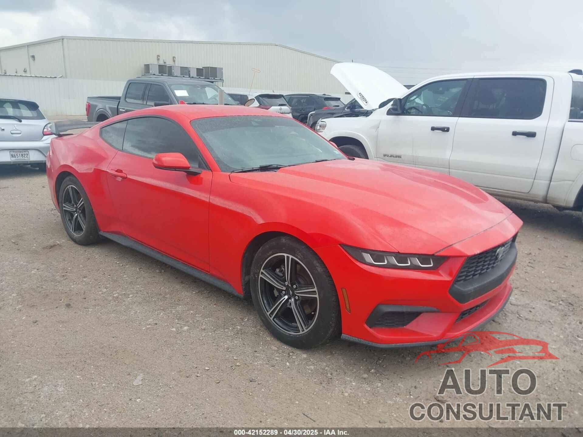 FORD MUSTANG 2024 - 1FA6P8TH7R5106652