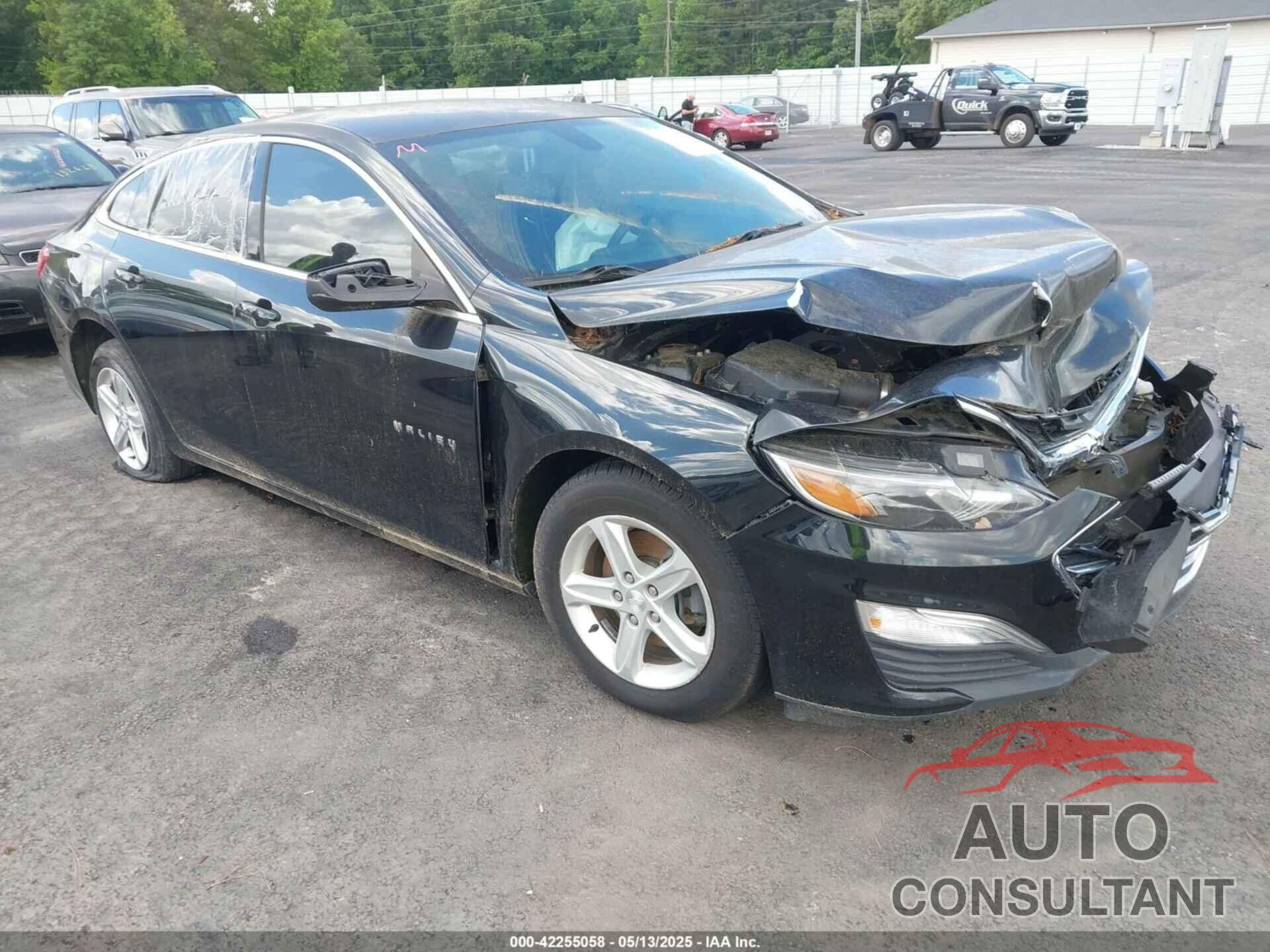 CHEVROLET MALIBU 2019 - 1G1ZB5ST2KF217581