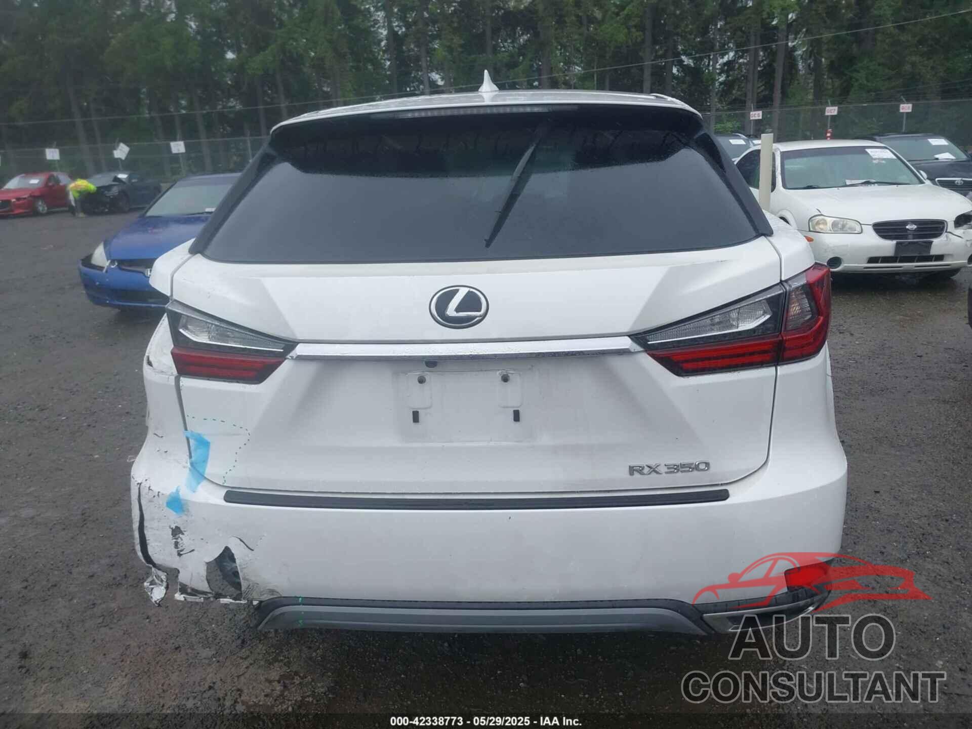 LEXUS RX 350 2022 - 2T2AZMDA4NC338692