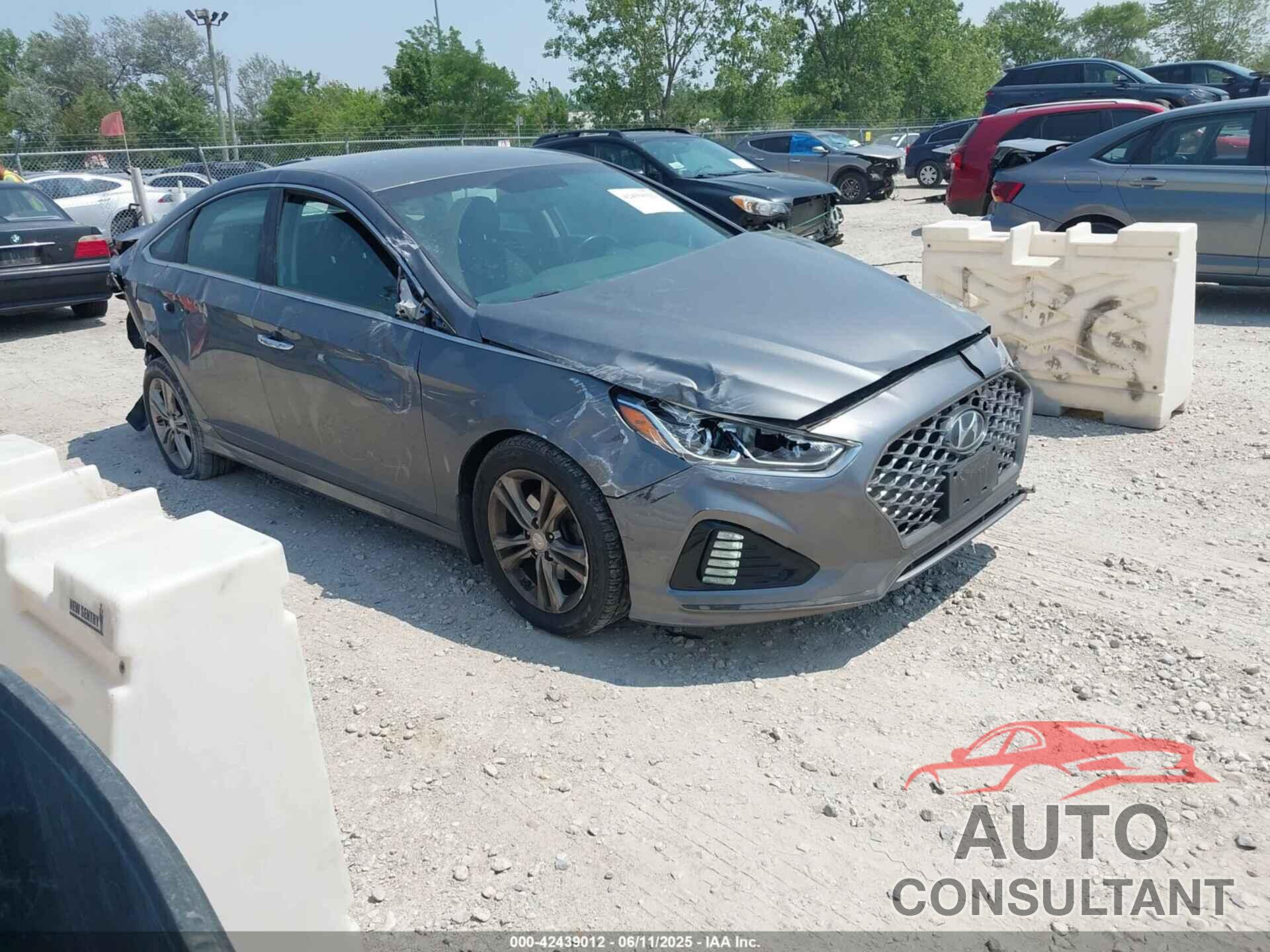 HYUNDAI SONATA 2019 - 5NPE34AF7KH799854