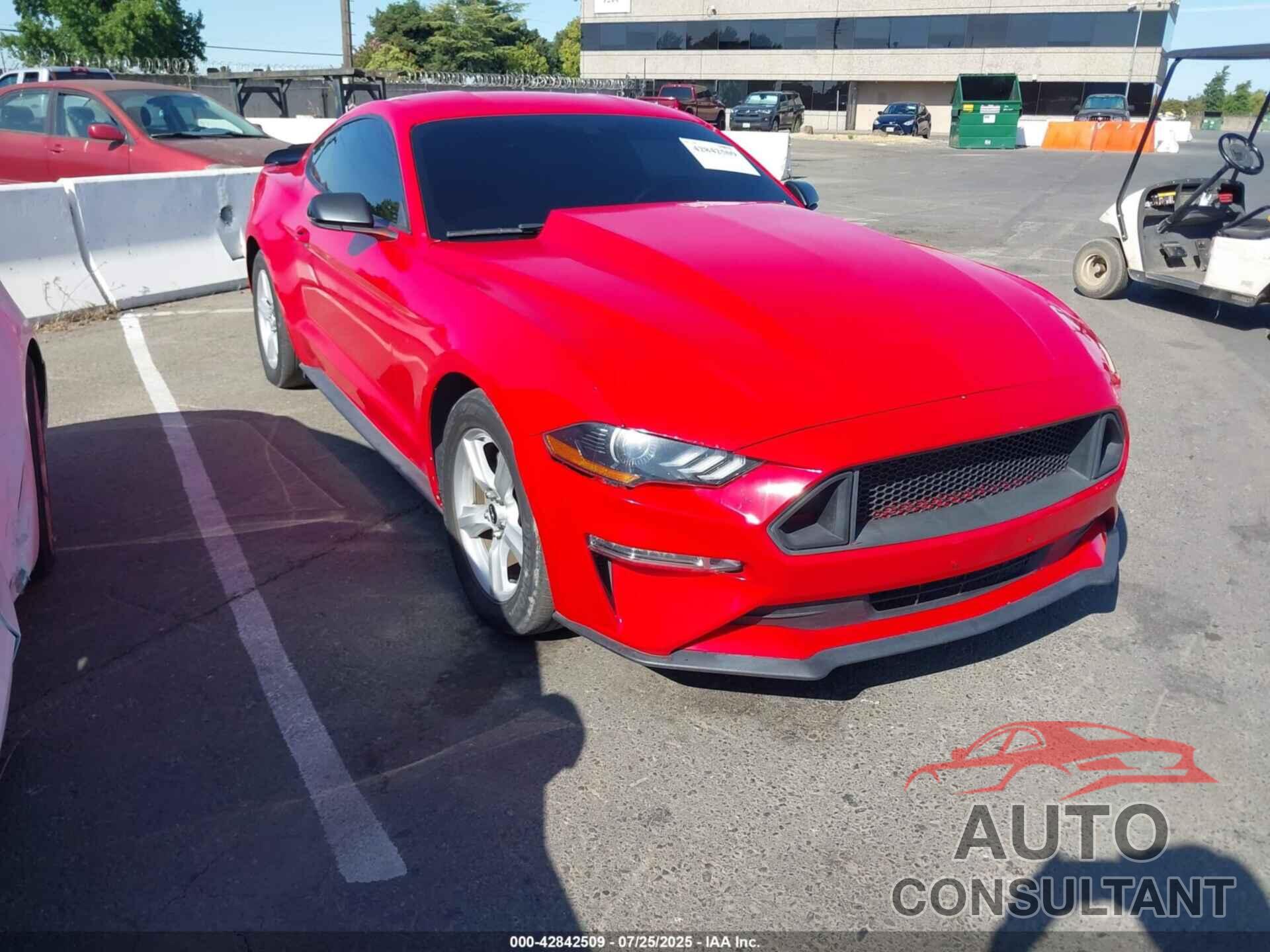 FORD MUSTANG 2019 - 1FA6P8TH7K5135493