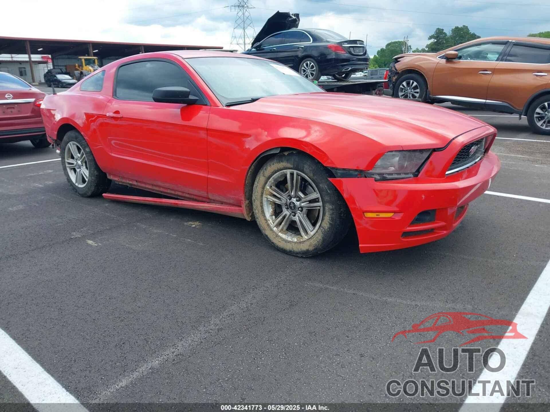 FORD MUSTANG 2014 - 1ZVBP8AM7E5249133