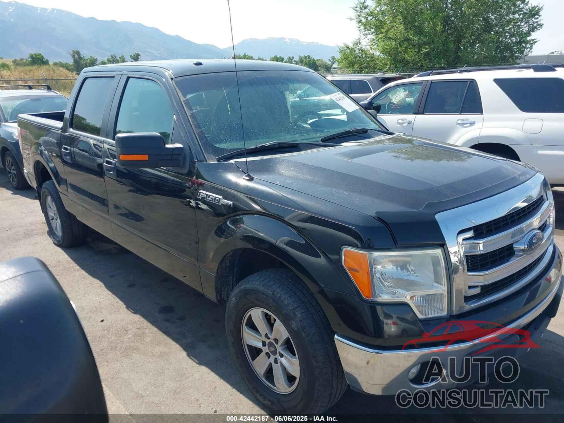 FORD F-150 2014 - 1FTFW1EFXEKD34981
