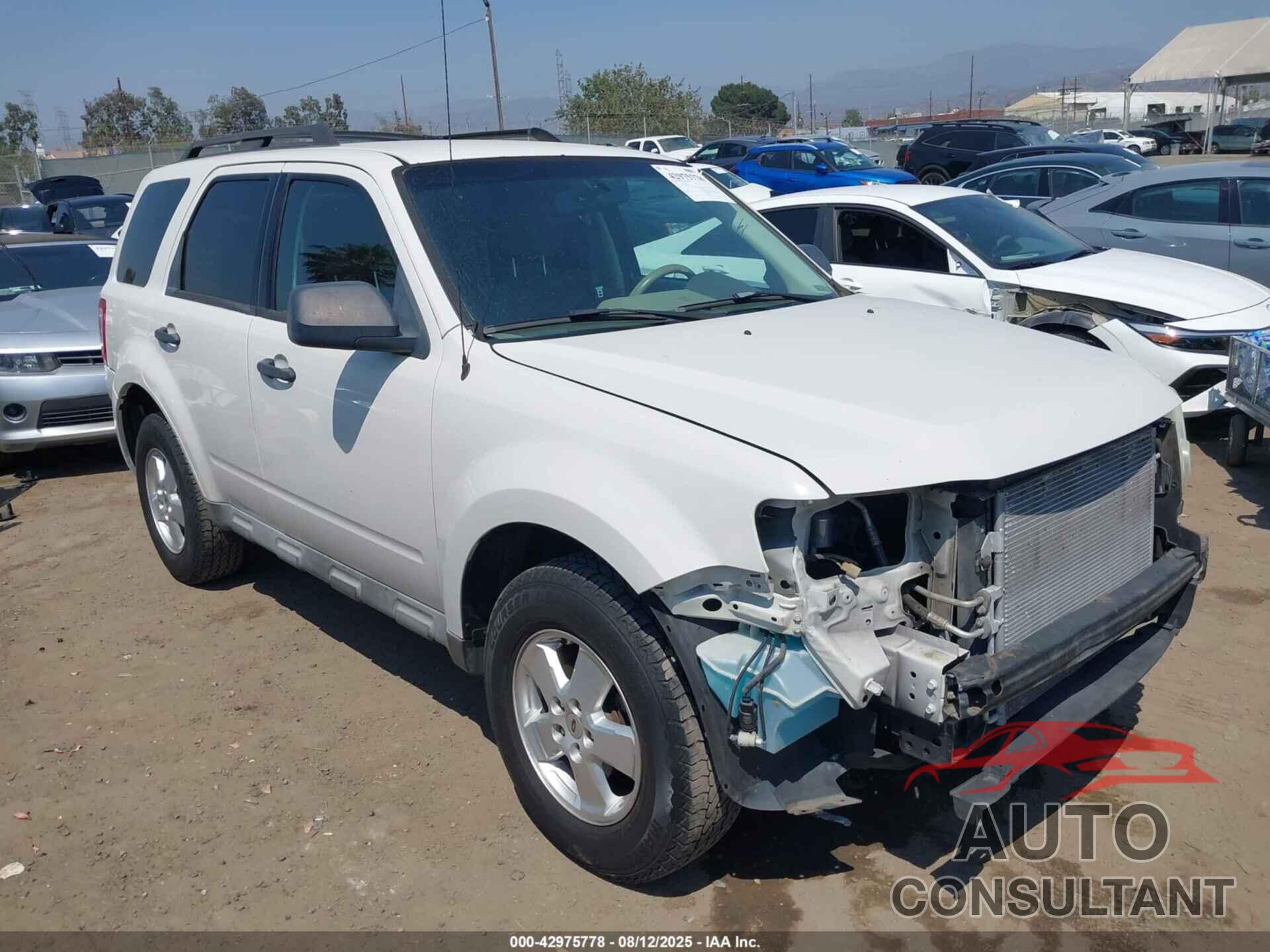 FORD ESCAPE 2009 - 1FMCU02769KD14082
