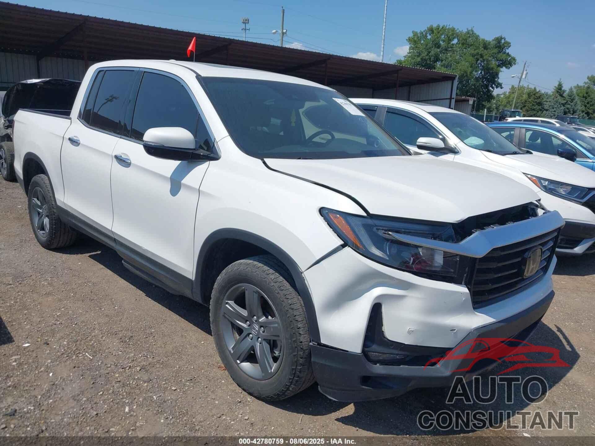 HONDA RIDGELINE 2023 - 5FPYK3F71PB017881