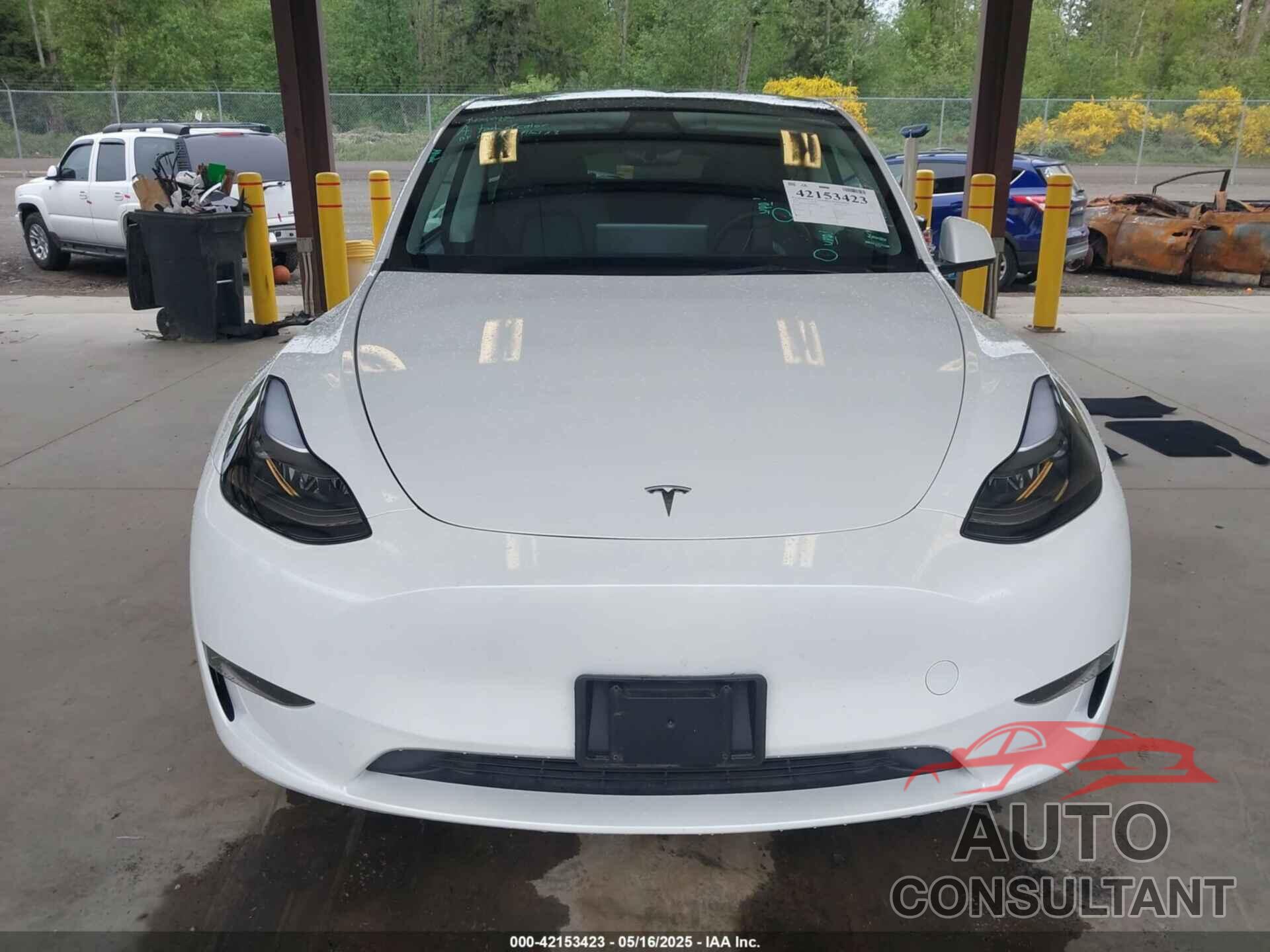 TESLA MODEL Y 2023 - 7SAYGAEE8PF809009