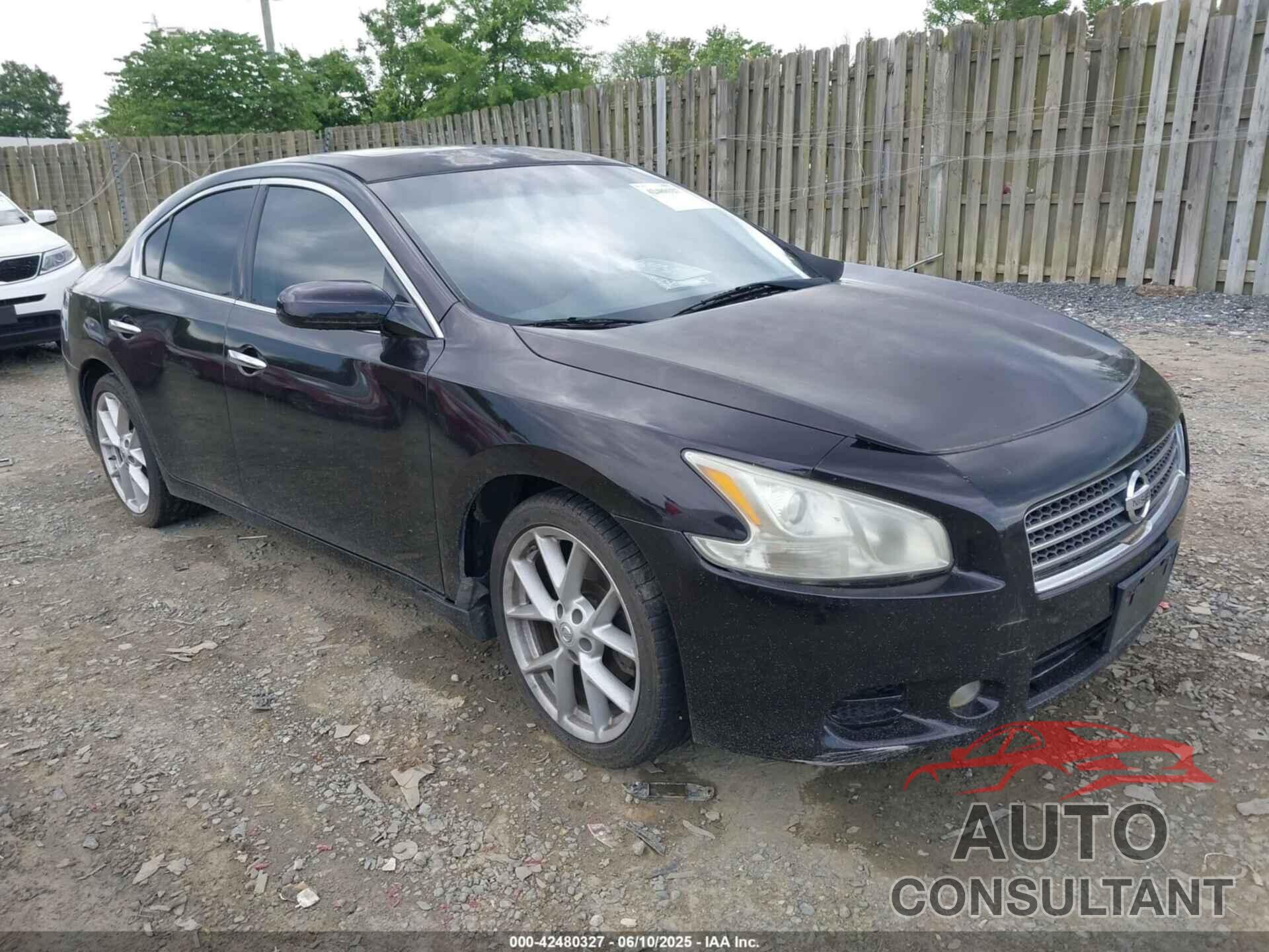 NISSAN MAXIMA 2010 - 1N4AA5AP1AC819485