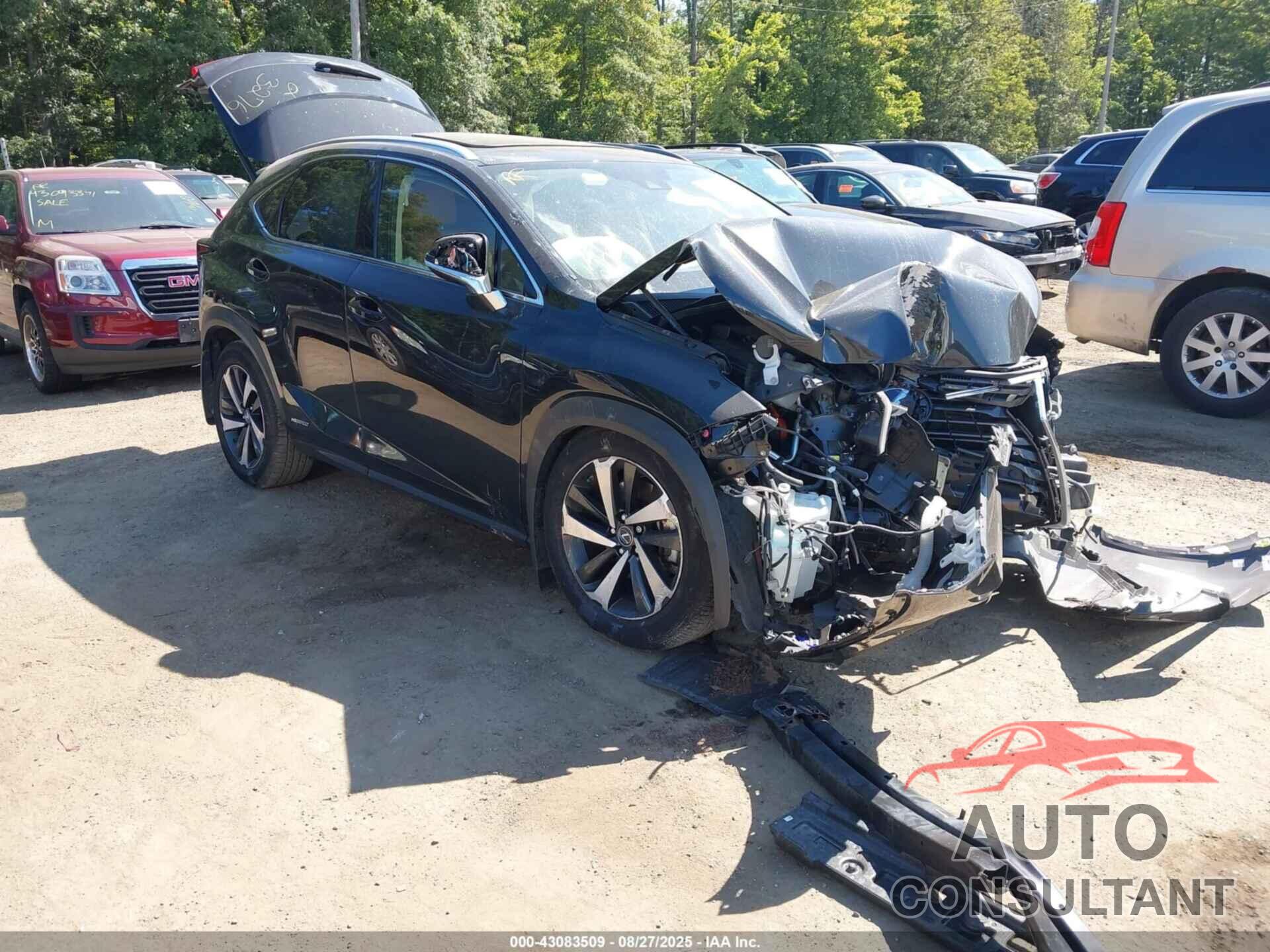 LEXUS NX 300H 2021 - JTJGJRDZ1M2170397