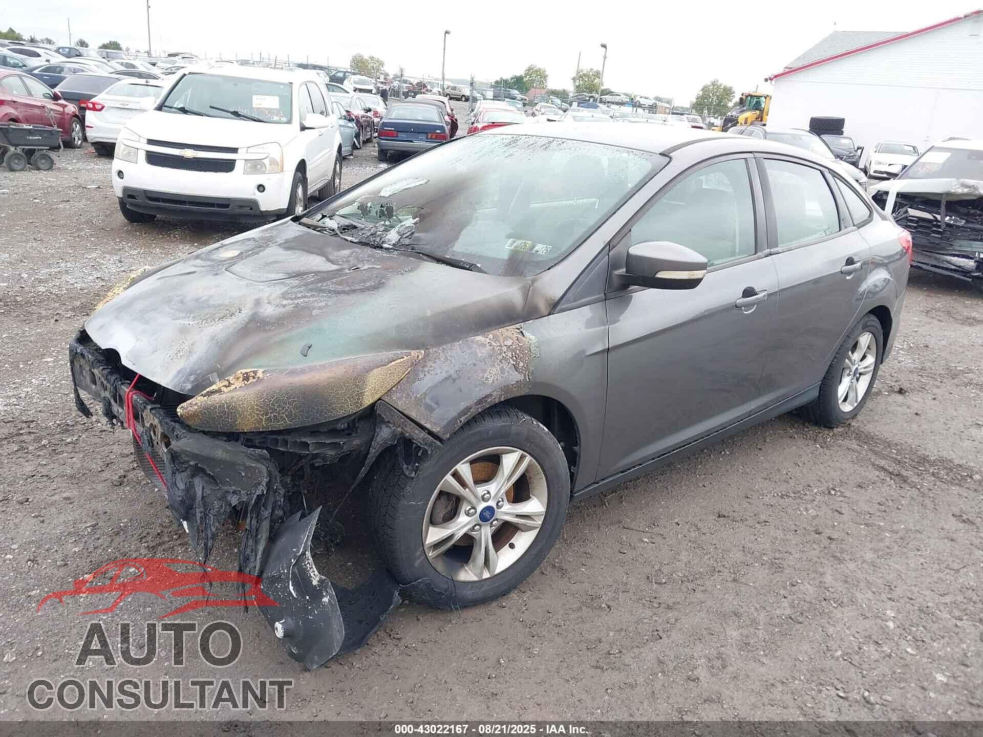 FORD FOCUS 2014 - 1FADP3F23EL445934