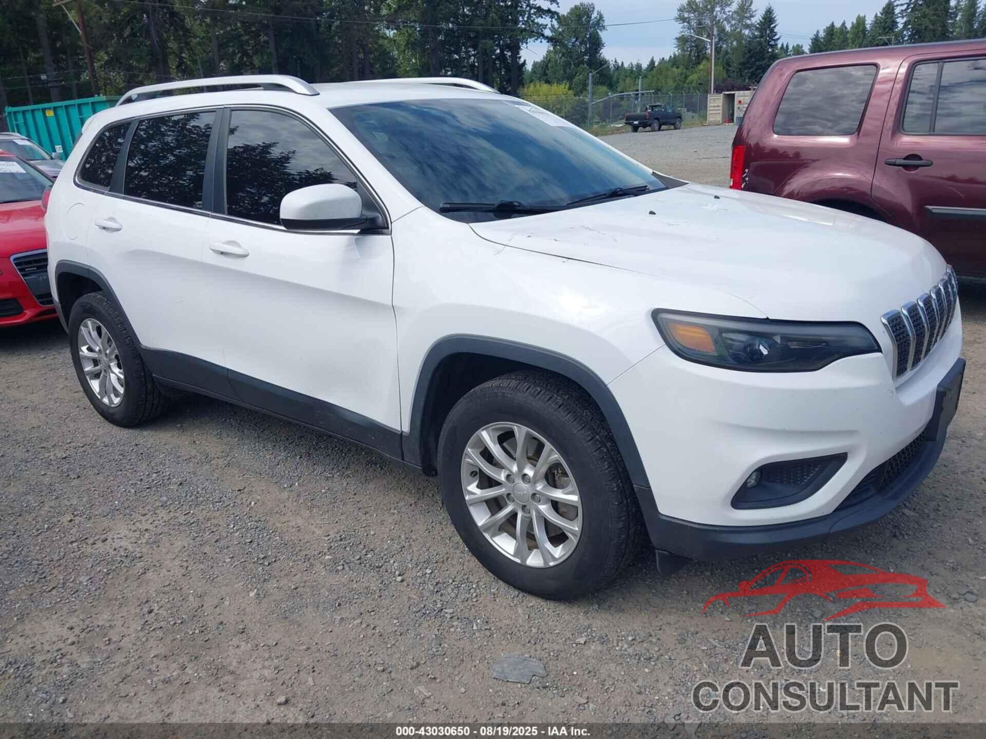 JEEP CHEROKEE 2019 - 1C4PJMCB0KD183721