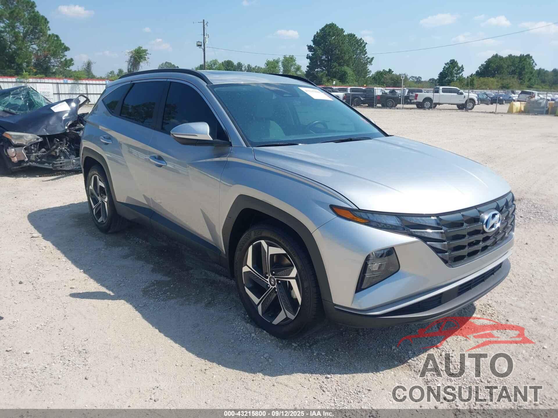 HYUNDAI TUCSON 2024 - 5NMJF3DE2RH409625