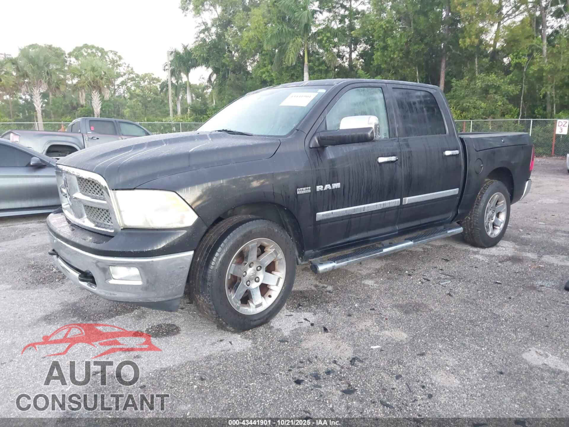 DODGE RAM 1500 2010 - 1D7RB1CT8AS241880
