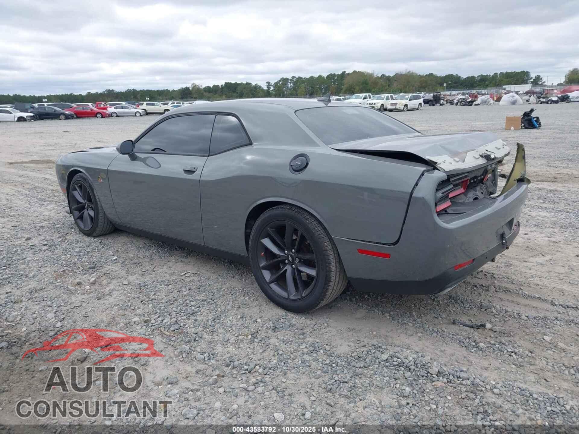 DODGE CHALLENGER 2019 - 2C3CDZFJ9KH654908