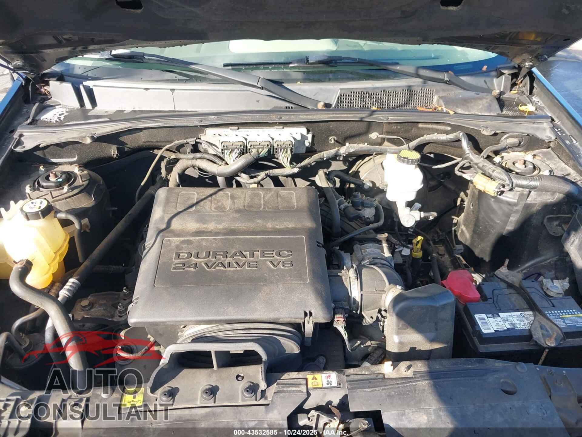 FORD ESCAPE 2010 - 1FMCU9DG7AKB64859
