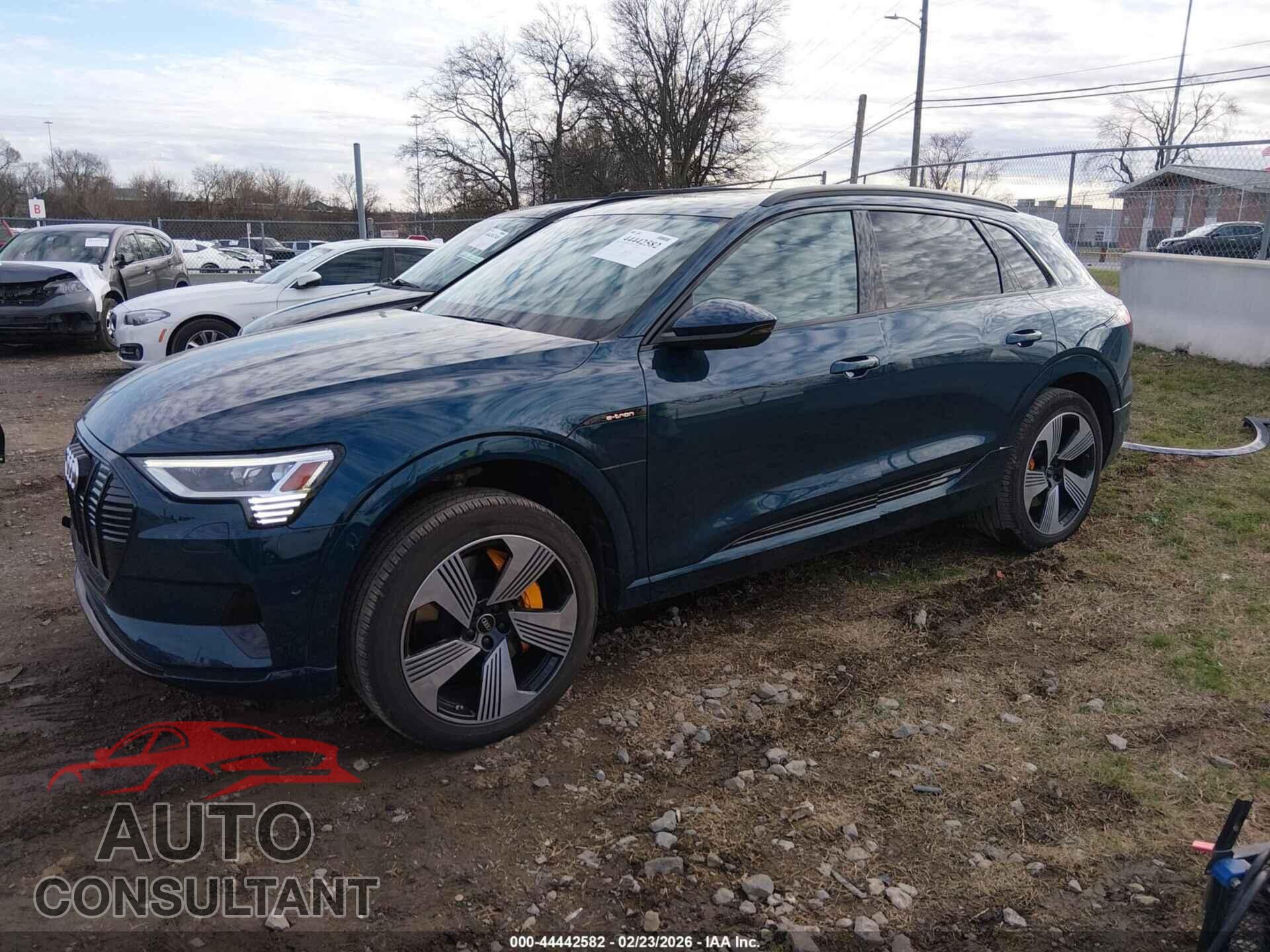 AUDI E-TRON 2022 - WA1LAAGE3NB022128