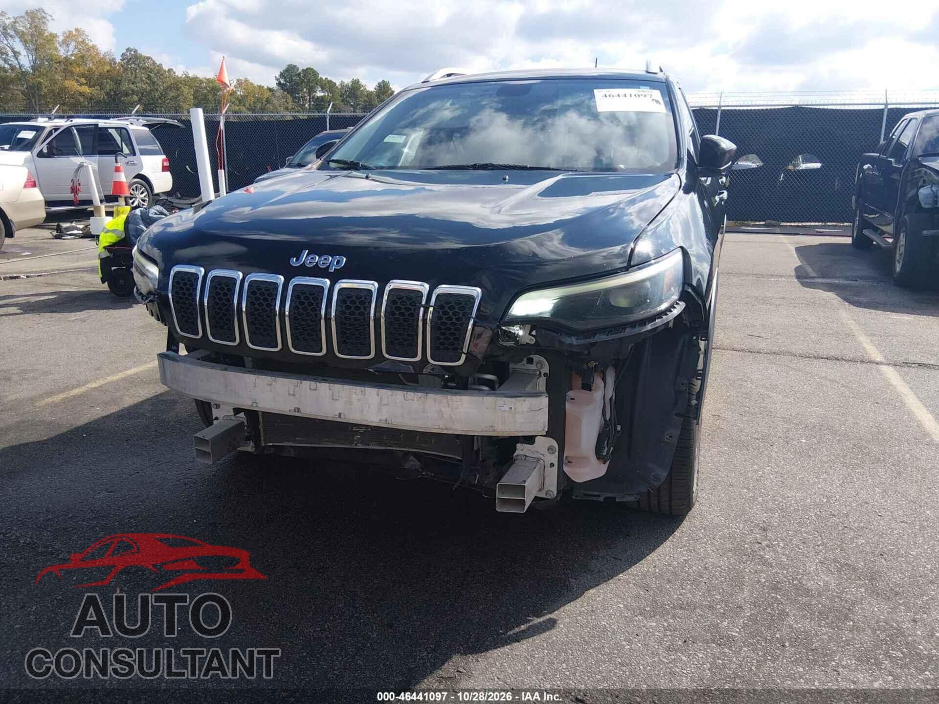 JEEP CHEROKEE 2019 - 1C4PJLDB7KD419371